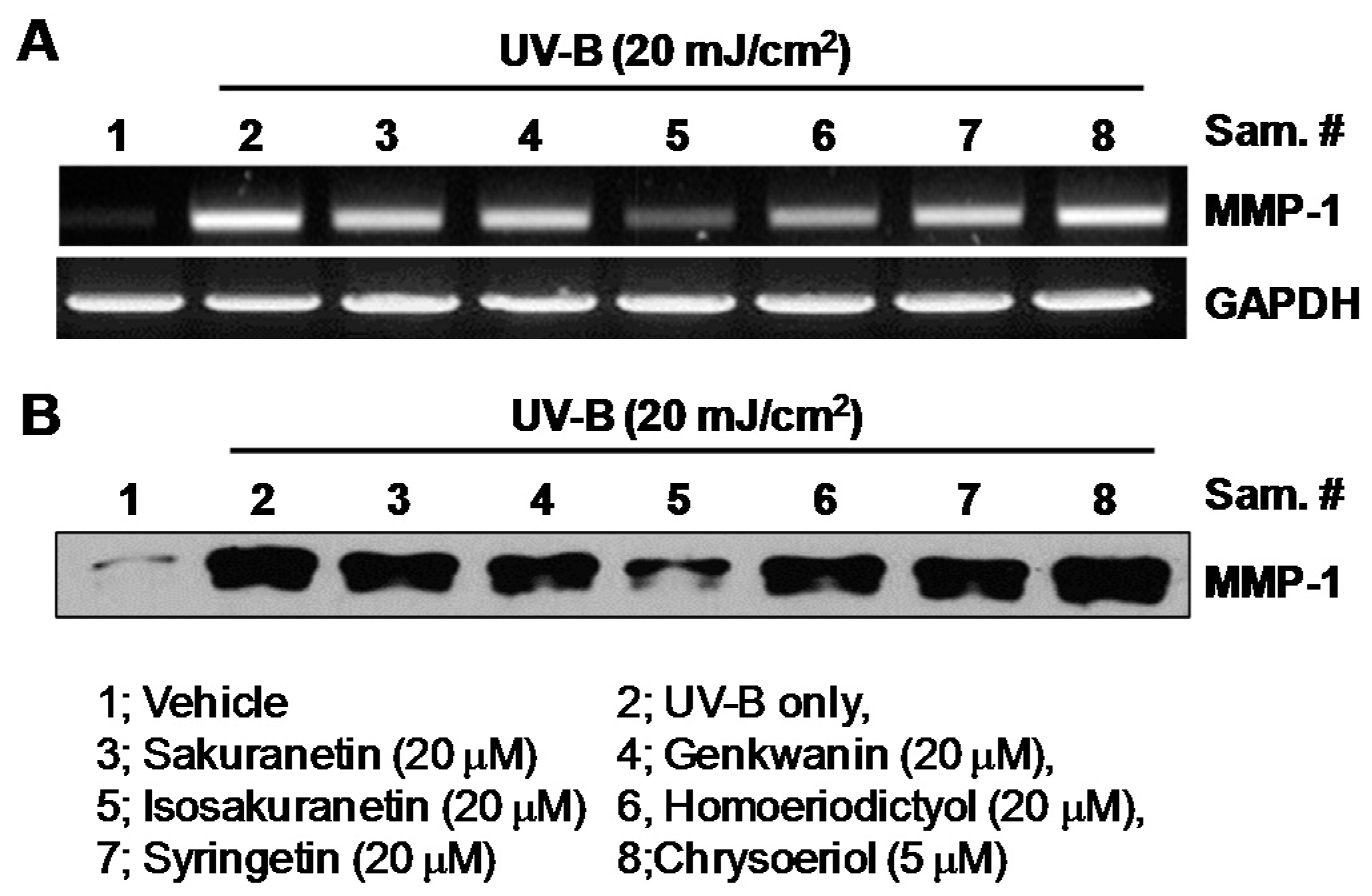 Ijms 17 01449 g003 1024