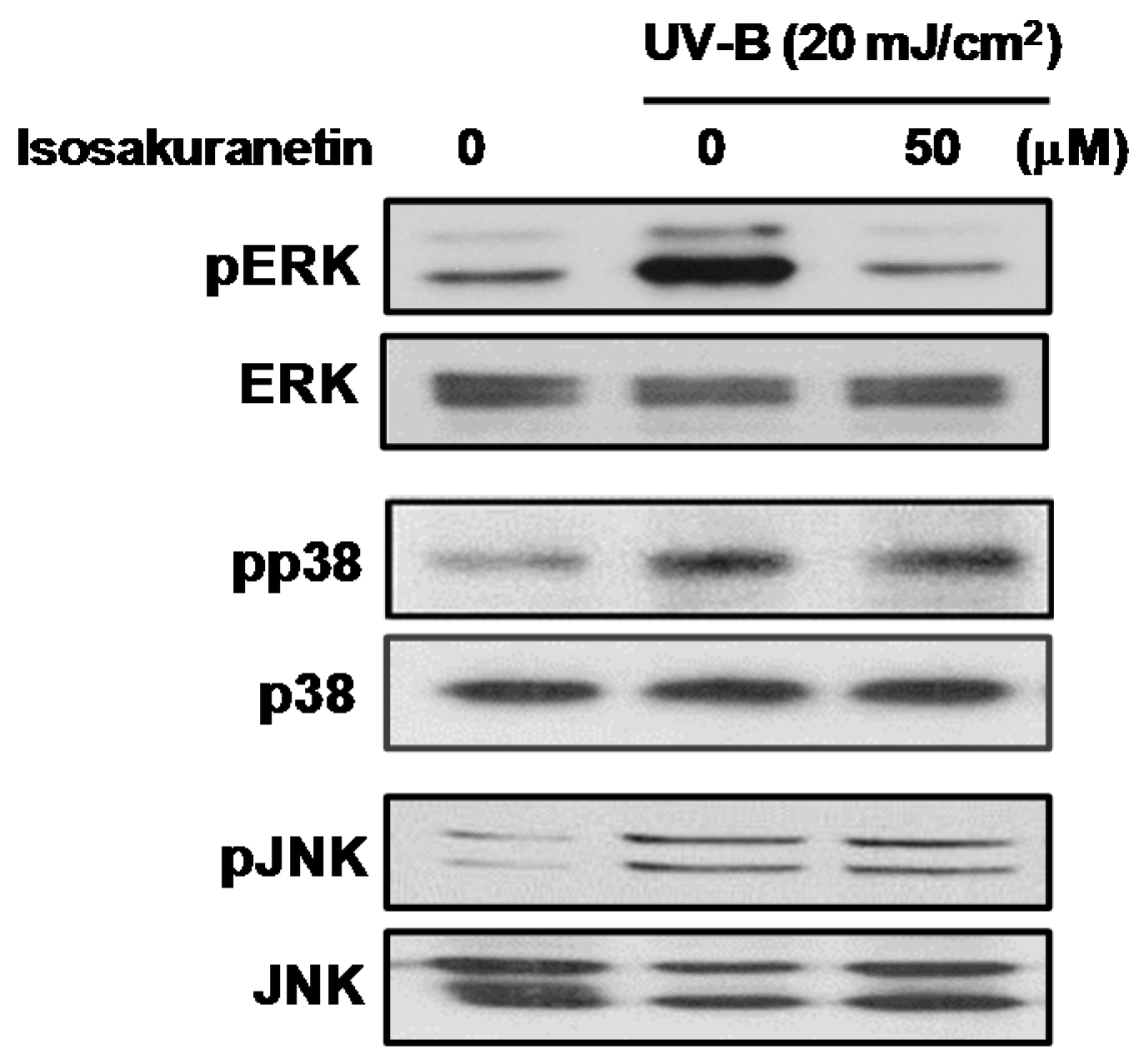 Ijms 17 01449 g005 1024