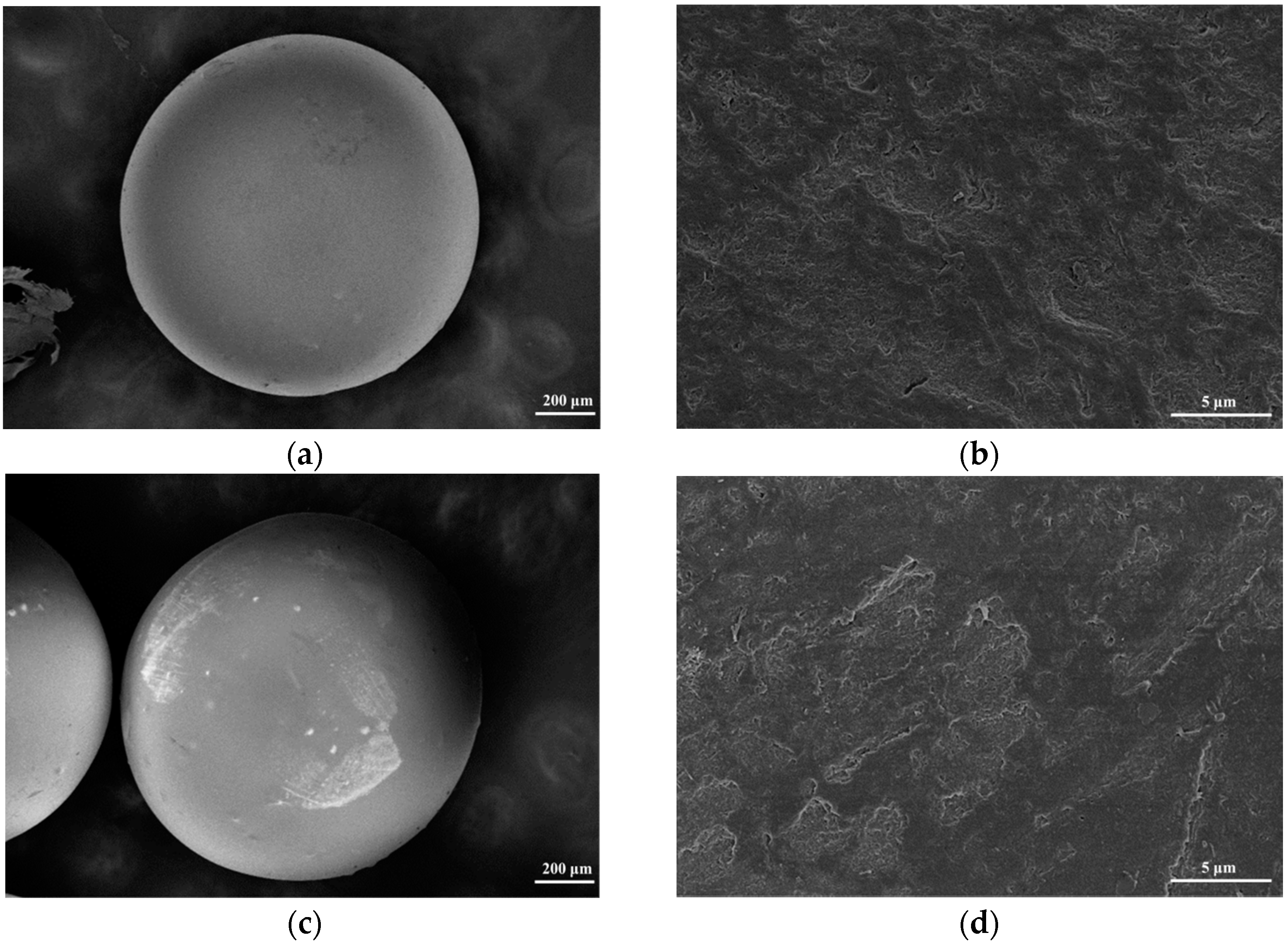 Ijms 17 01466 g004 1024