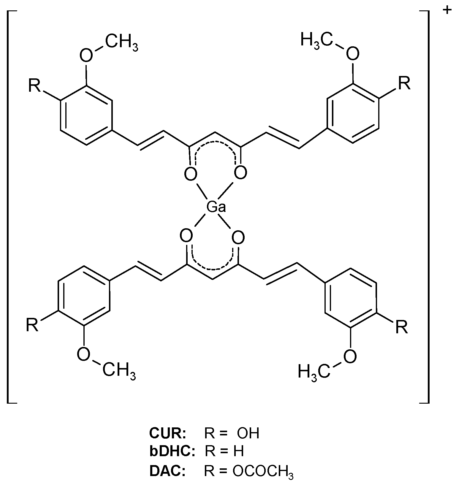 Ijms 17 01480 g001 1024