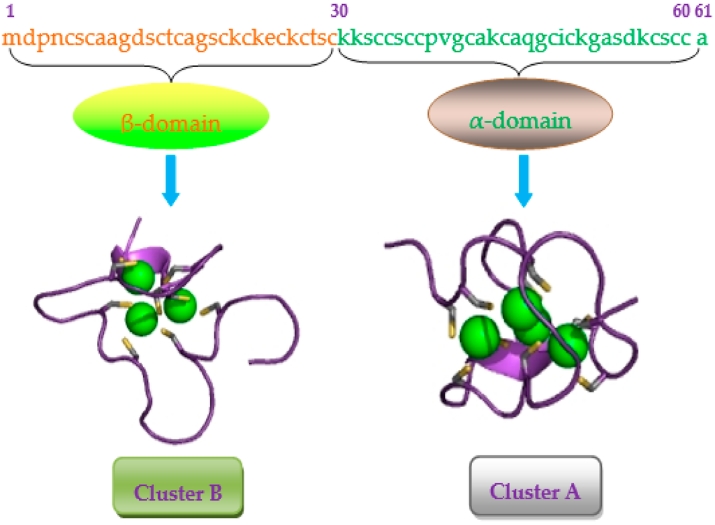 IJMS Free FullText Mammalian Metallothionein2A and Oxidative Stress