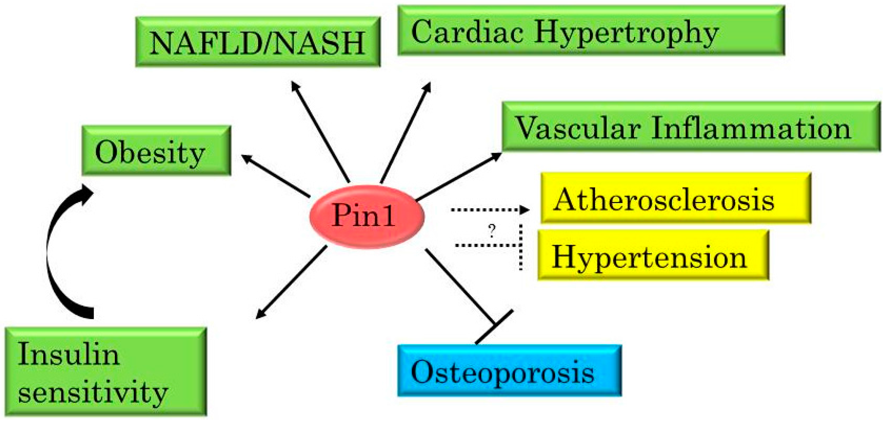 Ijms 17 01495 g003 1024