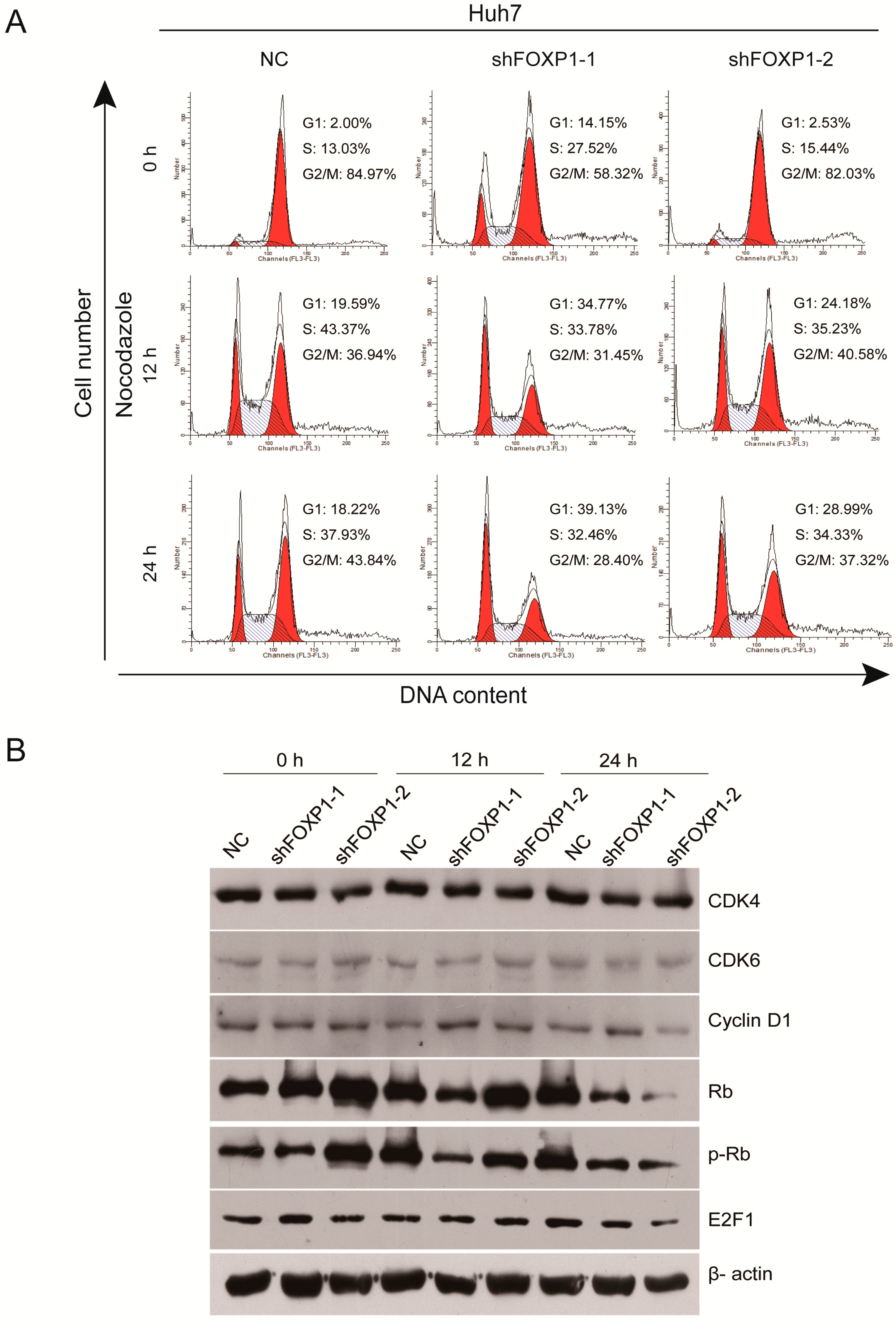 Ijms 17 01501 g004 1024