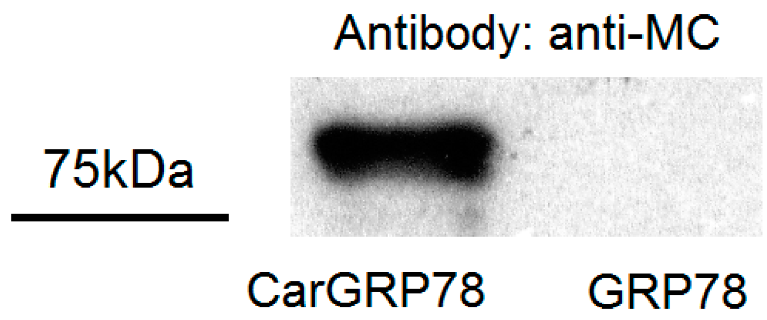 Ijms 17 01510 g001 1024