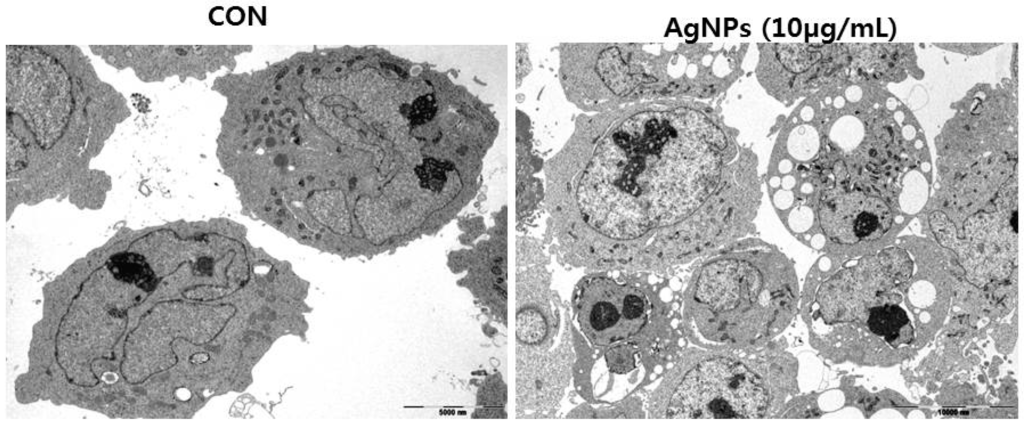 Applications of Silver Nanoparticles – Nova Science Publishers