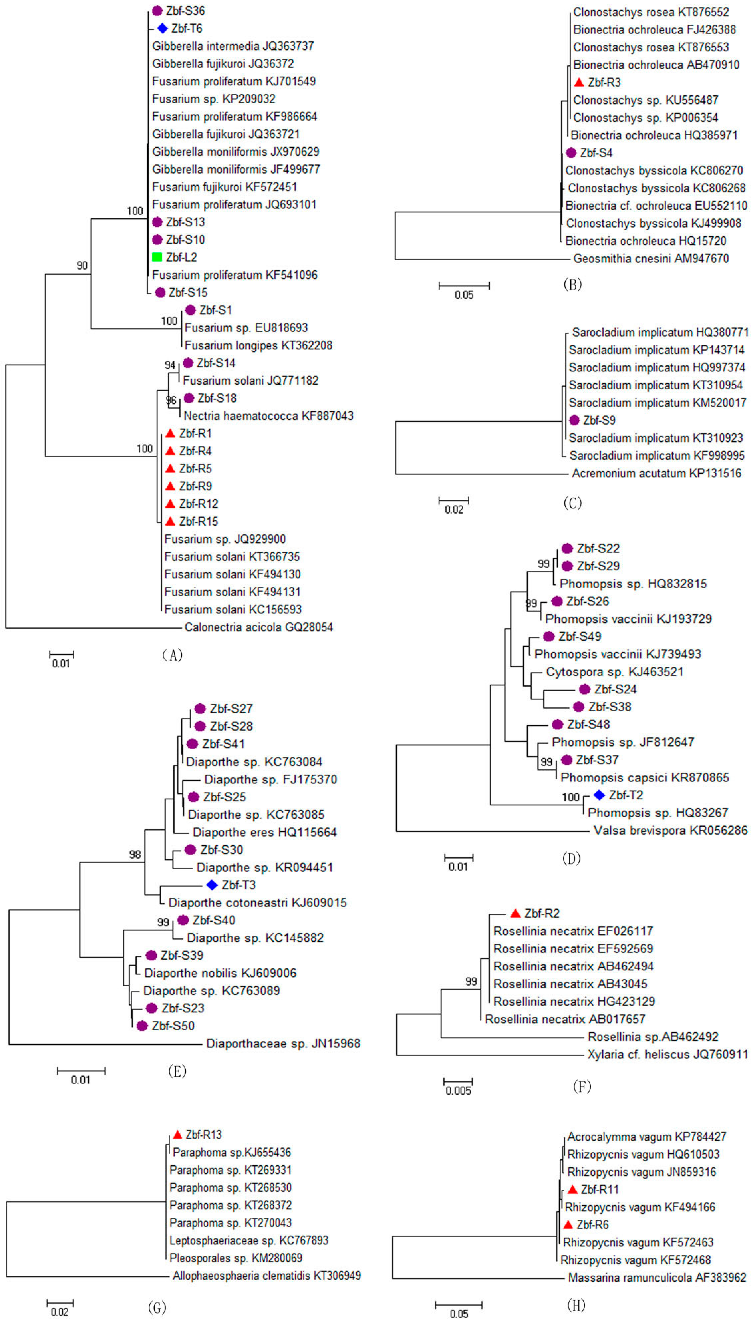 Ijms 17 01541 g001a 1024