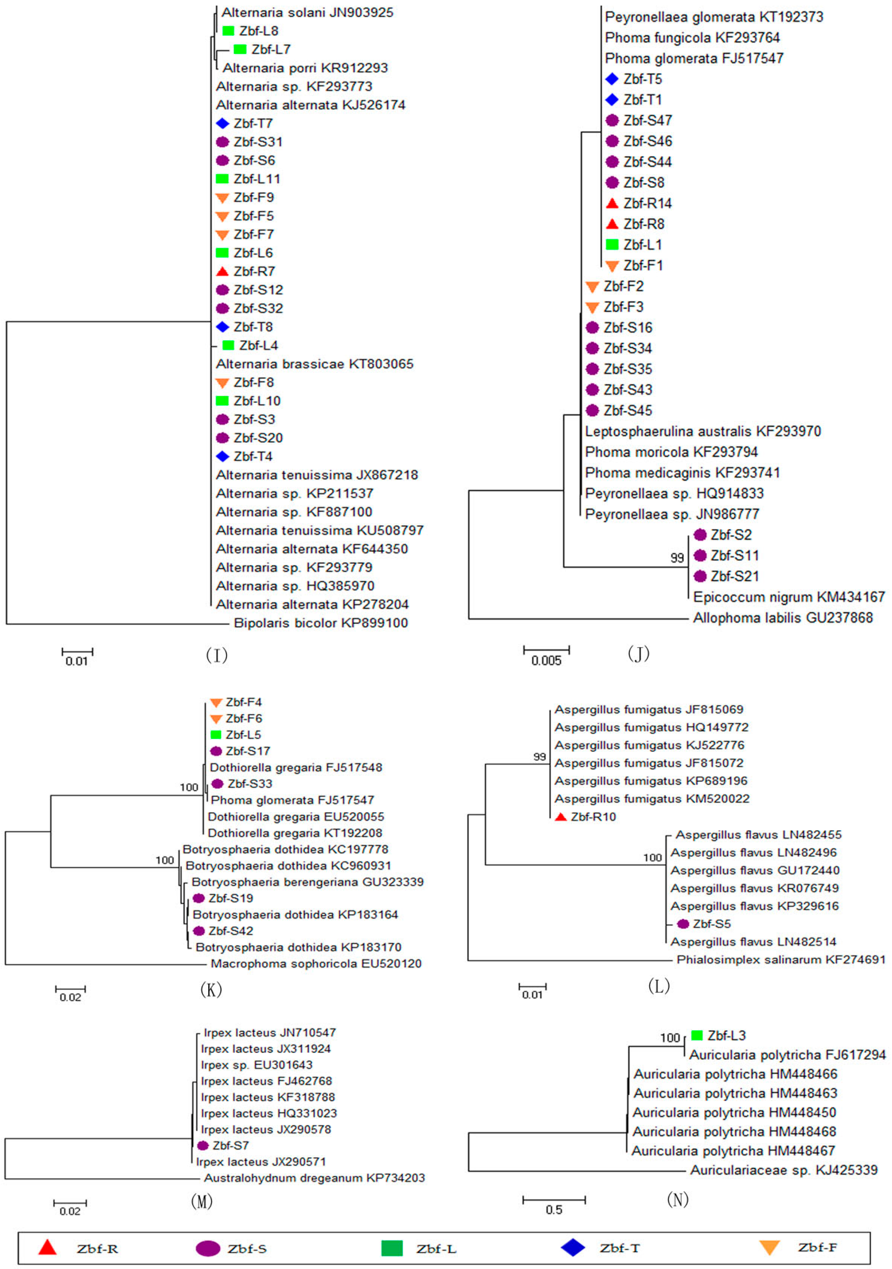 Ijms 17 01541 g001b 1024