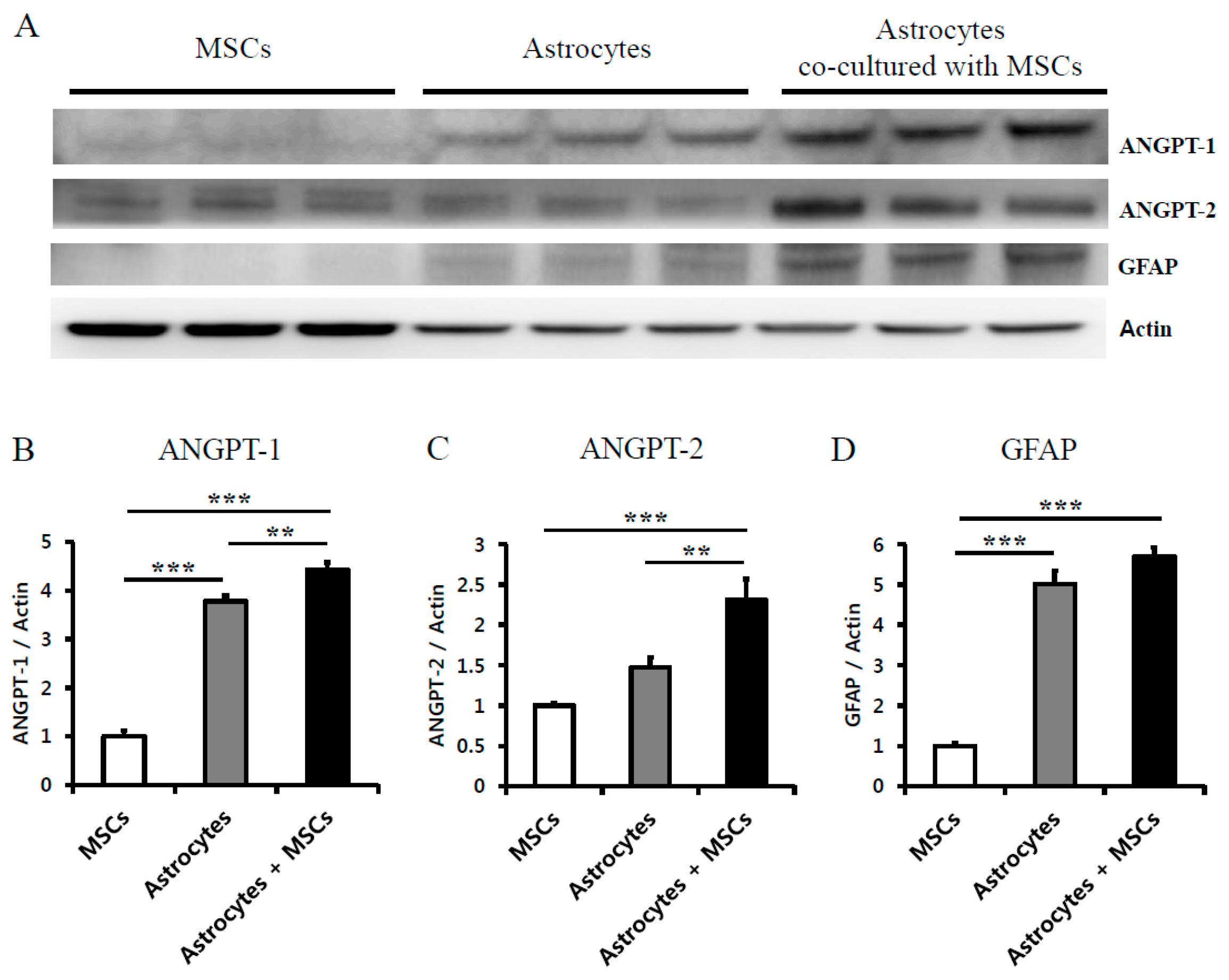 Ijms 17 01550 g005