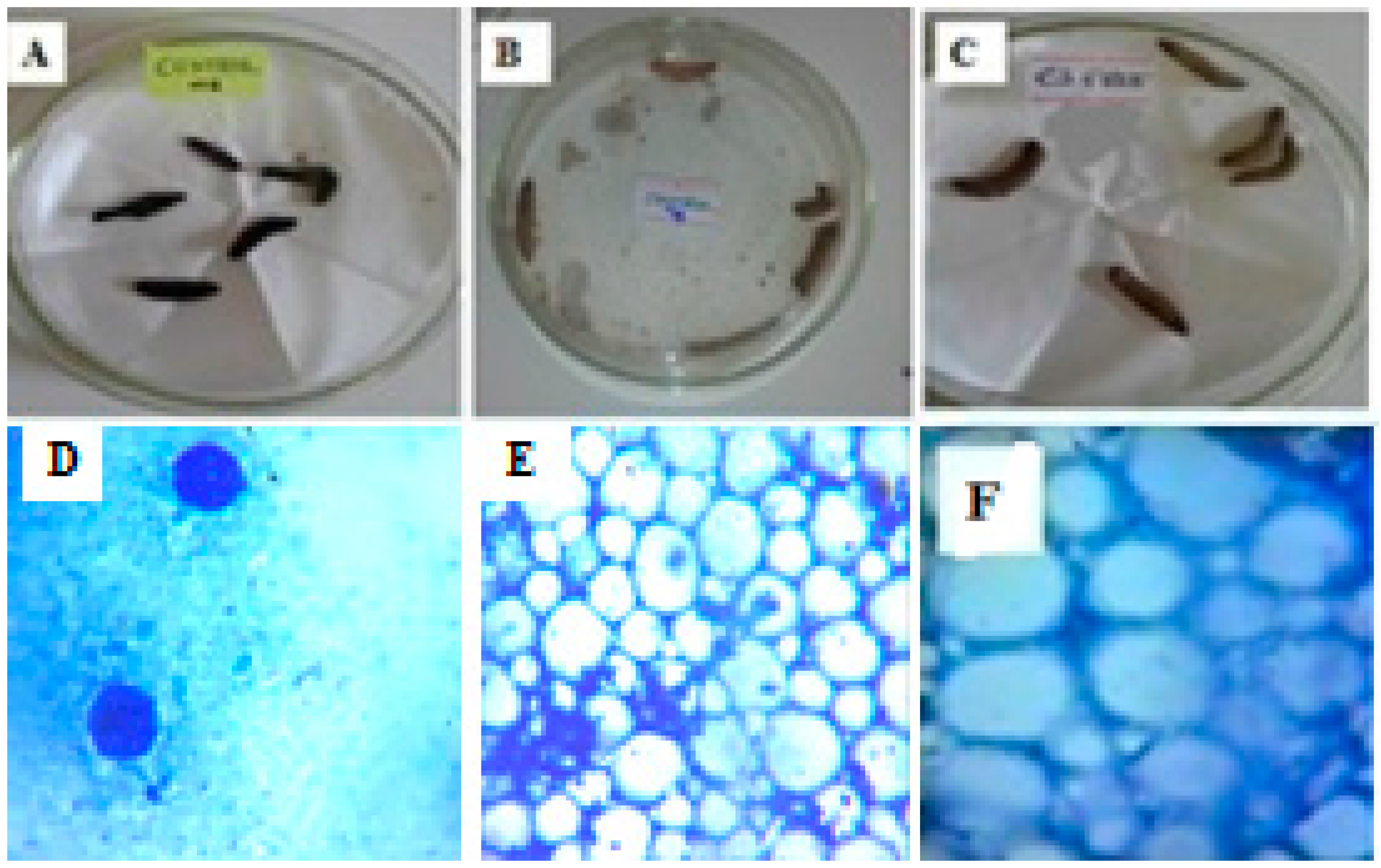 Ijms 17 01559 g011