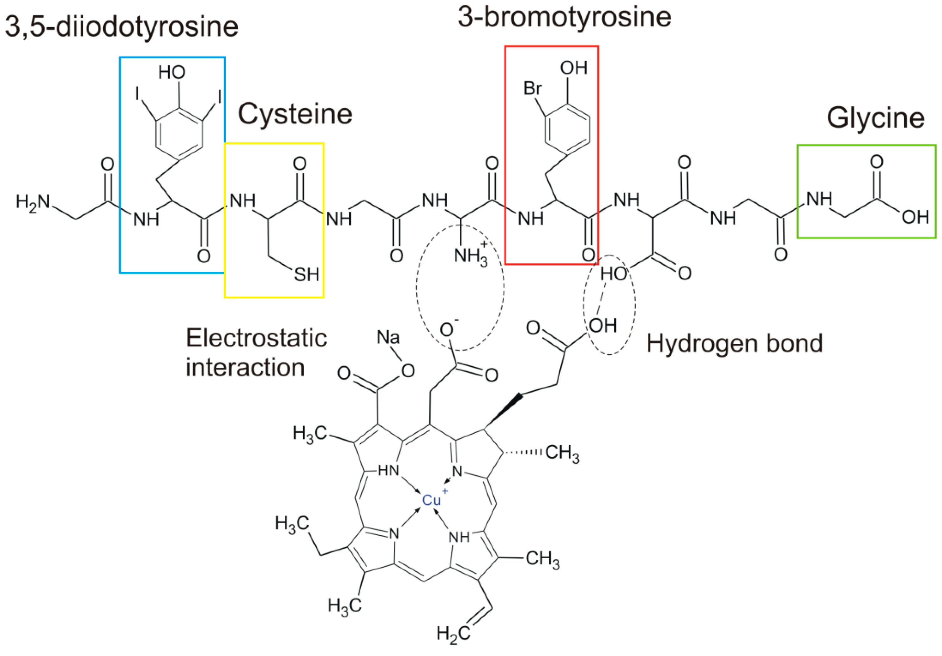 Chemistry Of Natural Sodium Copper Chlorophylin Salt Pigment