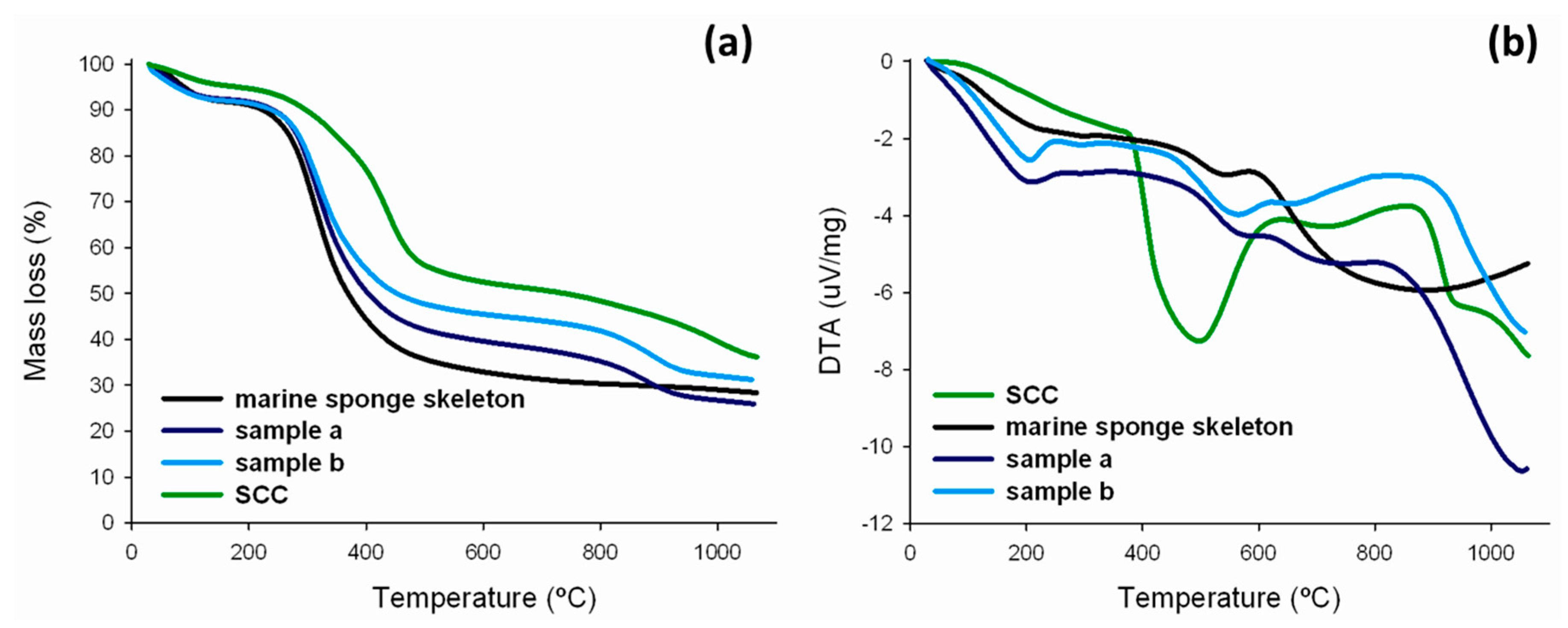 Ijms 17 01564 g008 550