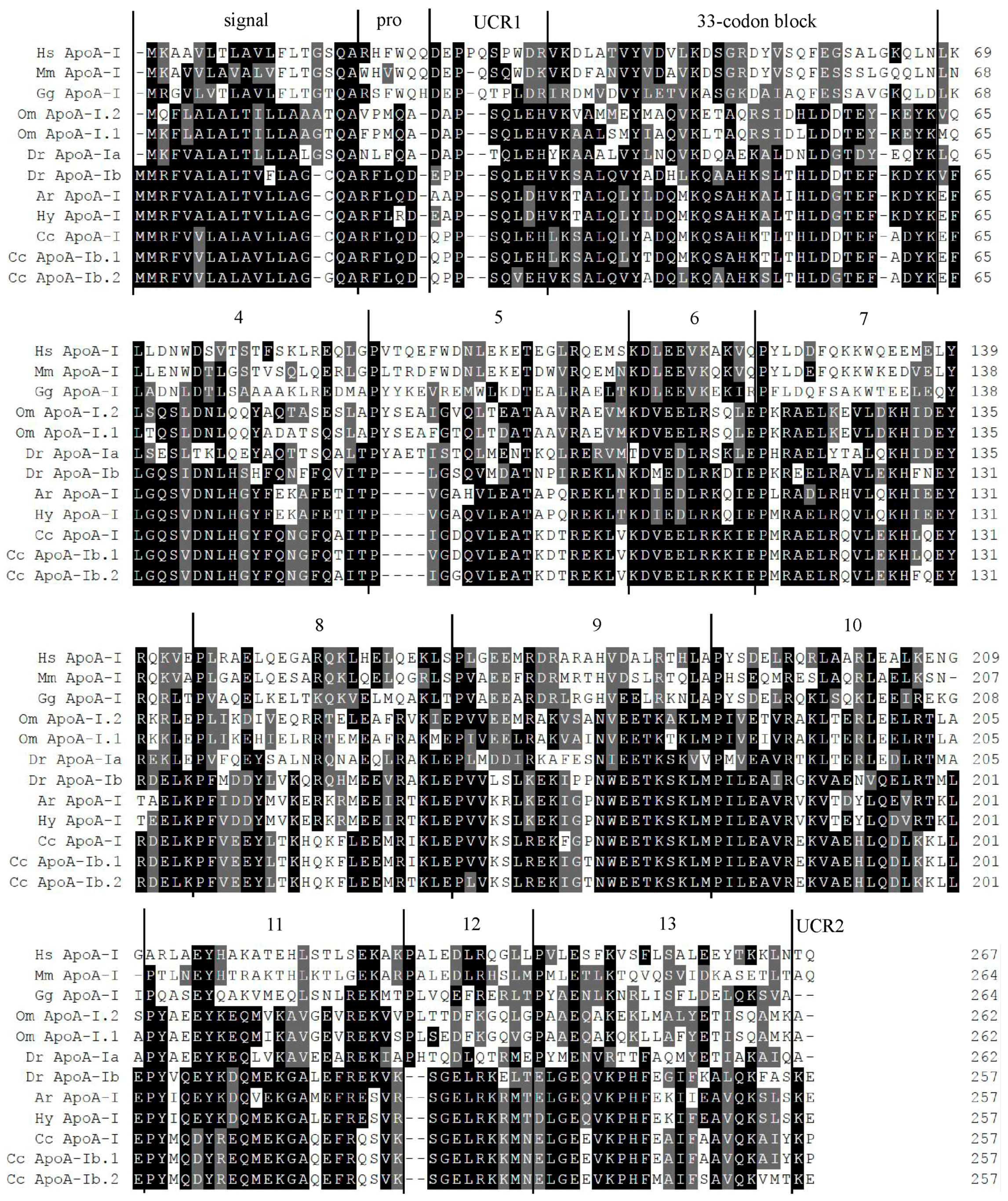 Ijms 17 01569 g001 1024