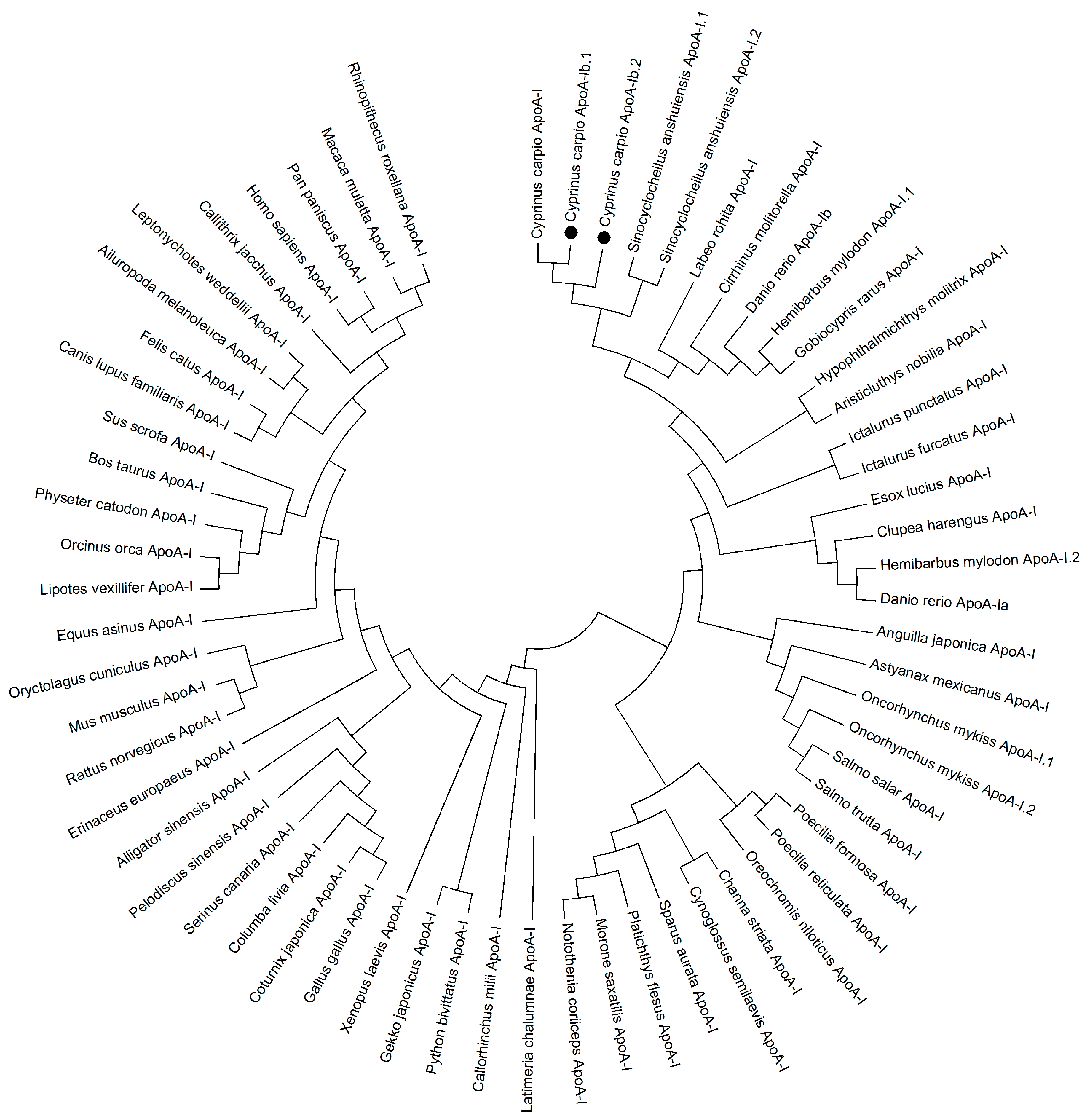 Ijms 17 01569 g002 1024