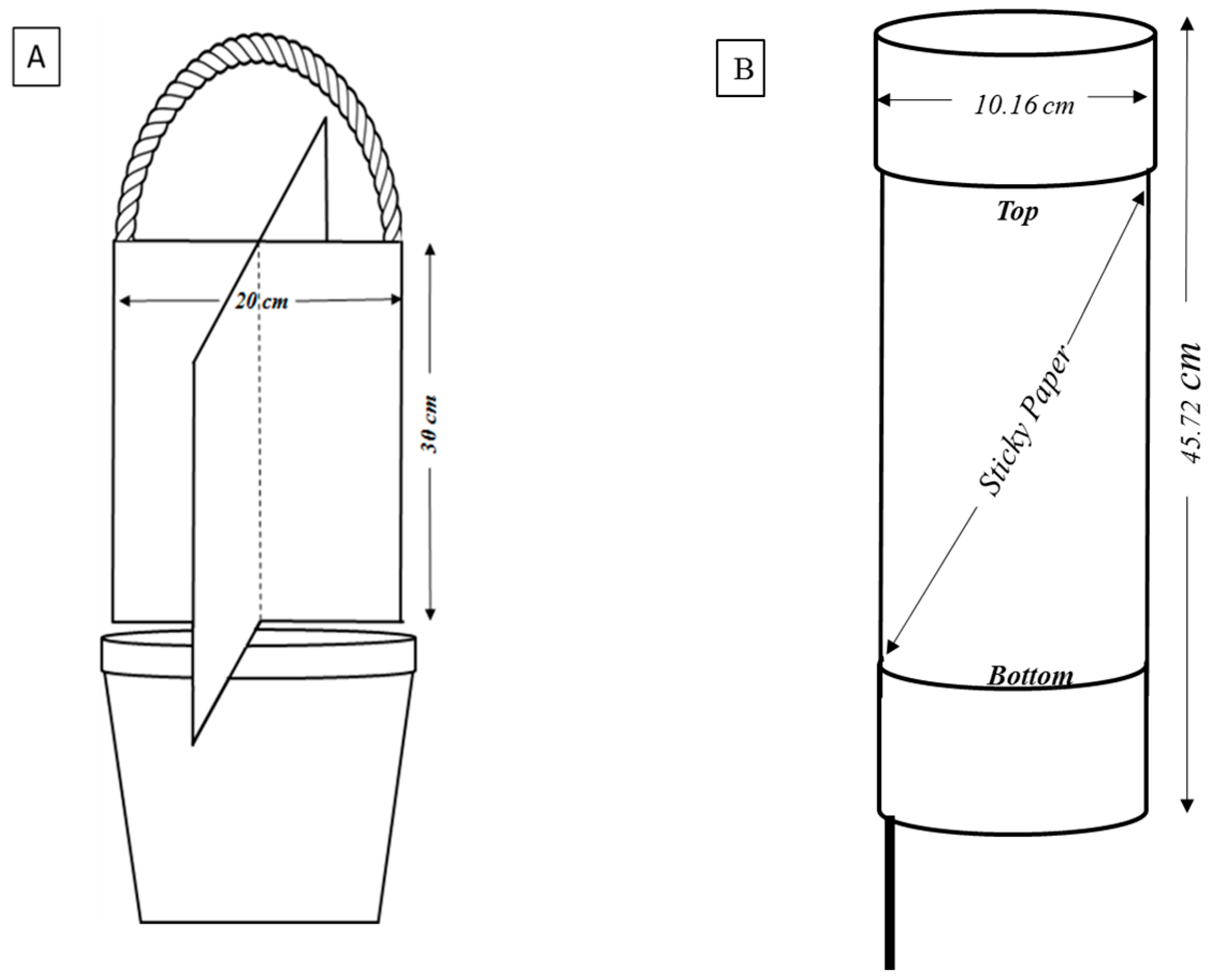 Ijms 17 01570 g005