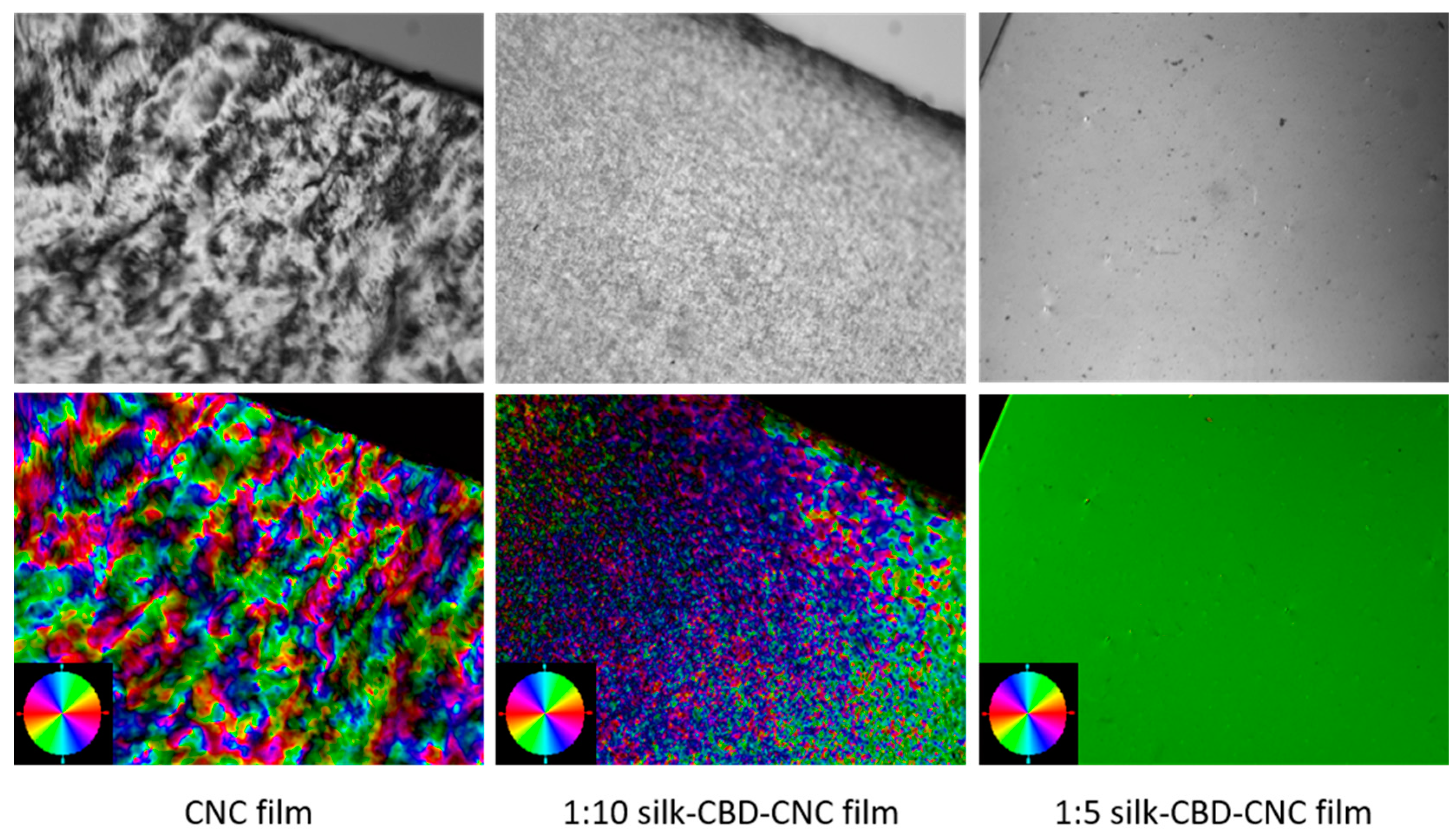 Ijms 17 01573 g006 1024