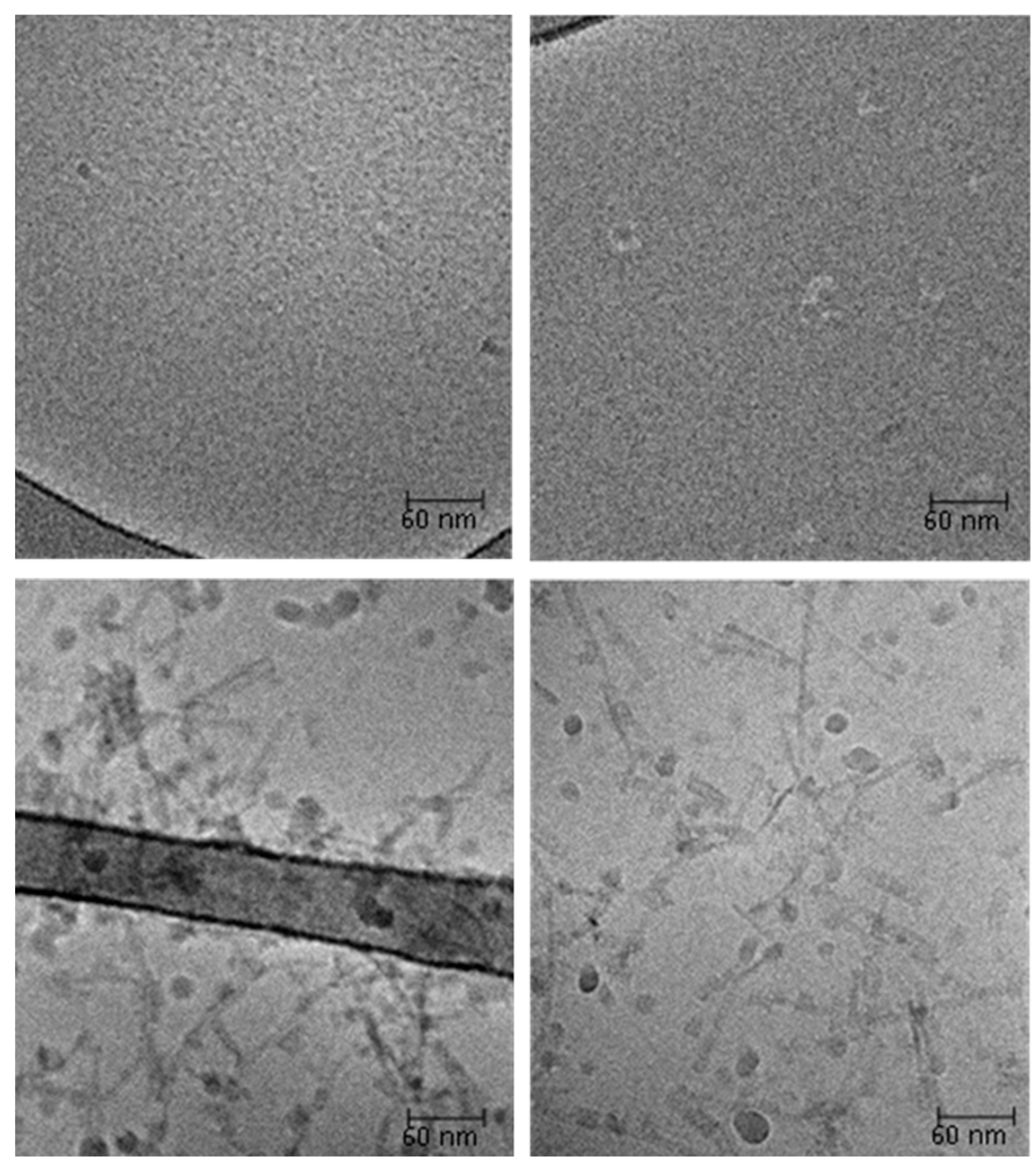 Ijms 17 01573 g010 1024