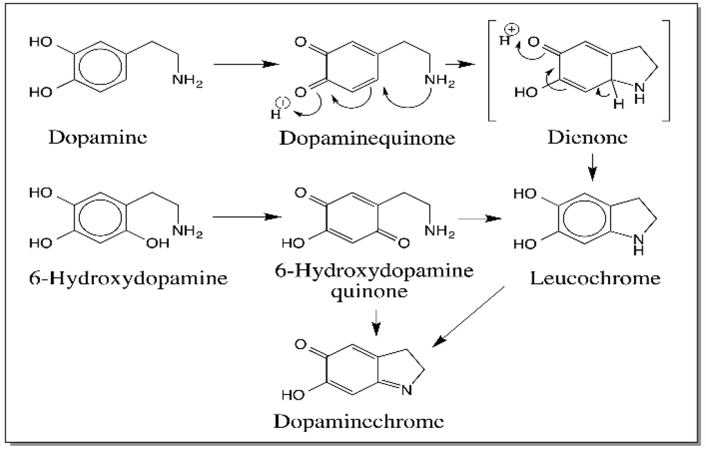 IJMS Free FullText Reactivities of Quinone Methides versus o
