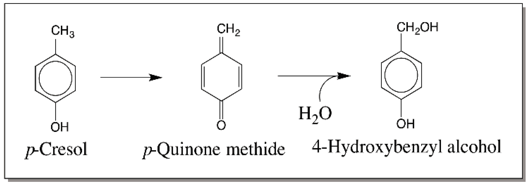 IJMS Free FullText Reactivities of Quinone Methides versus o