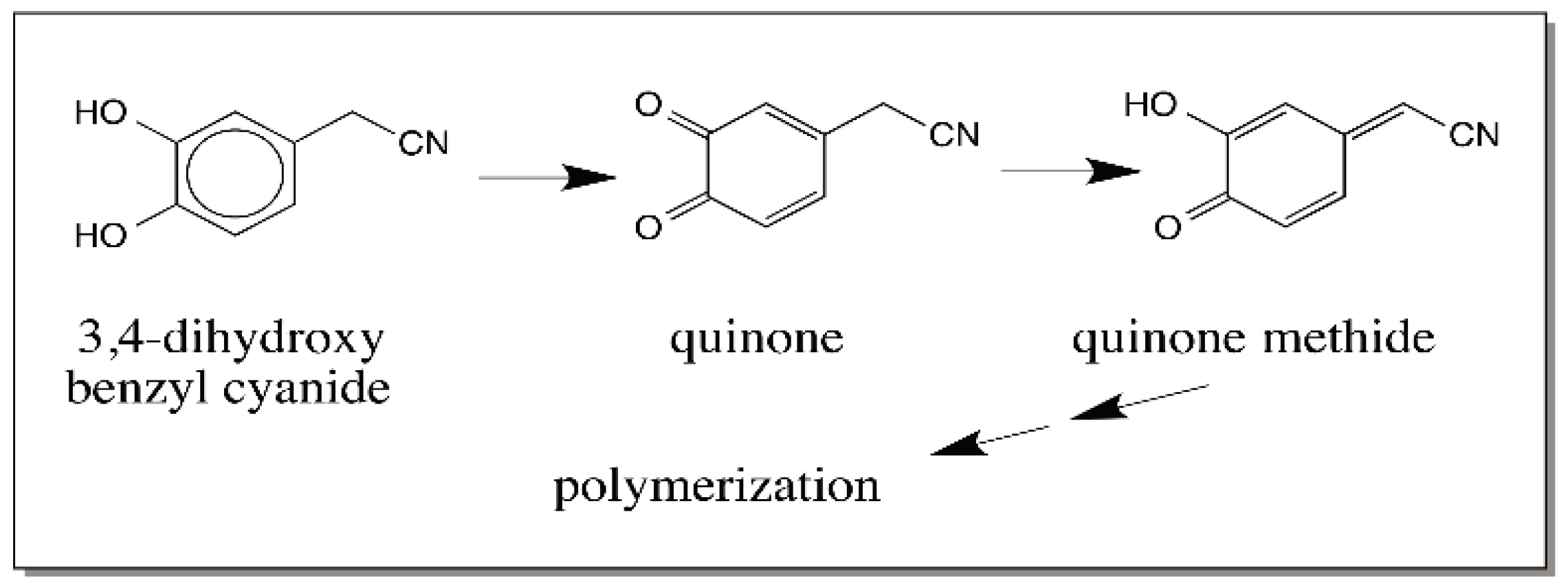 IJMS Free FullText Reactivities of Quinone Methides versus o