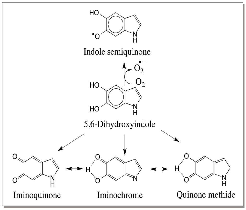 IJMS Free FullText Reactivities of Quinone Methides versus o