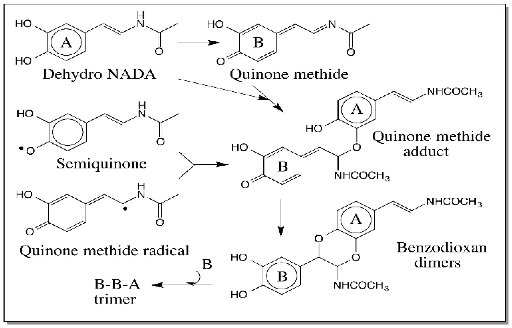 IJMS Free FullText Reactivities of Quinone Methides versus o