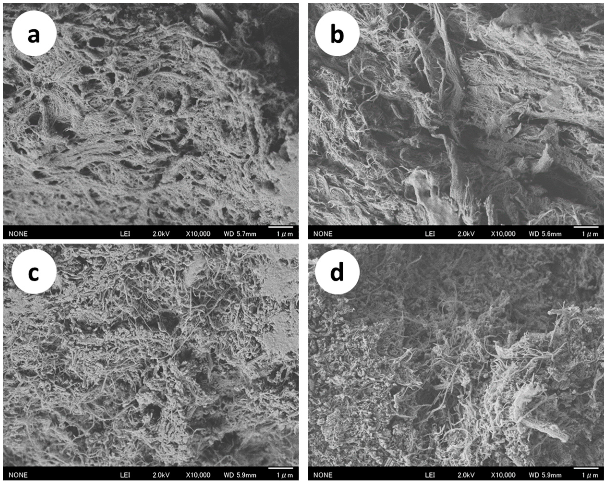 Ijms 17 01600 g001a 550