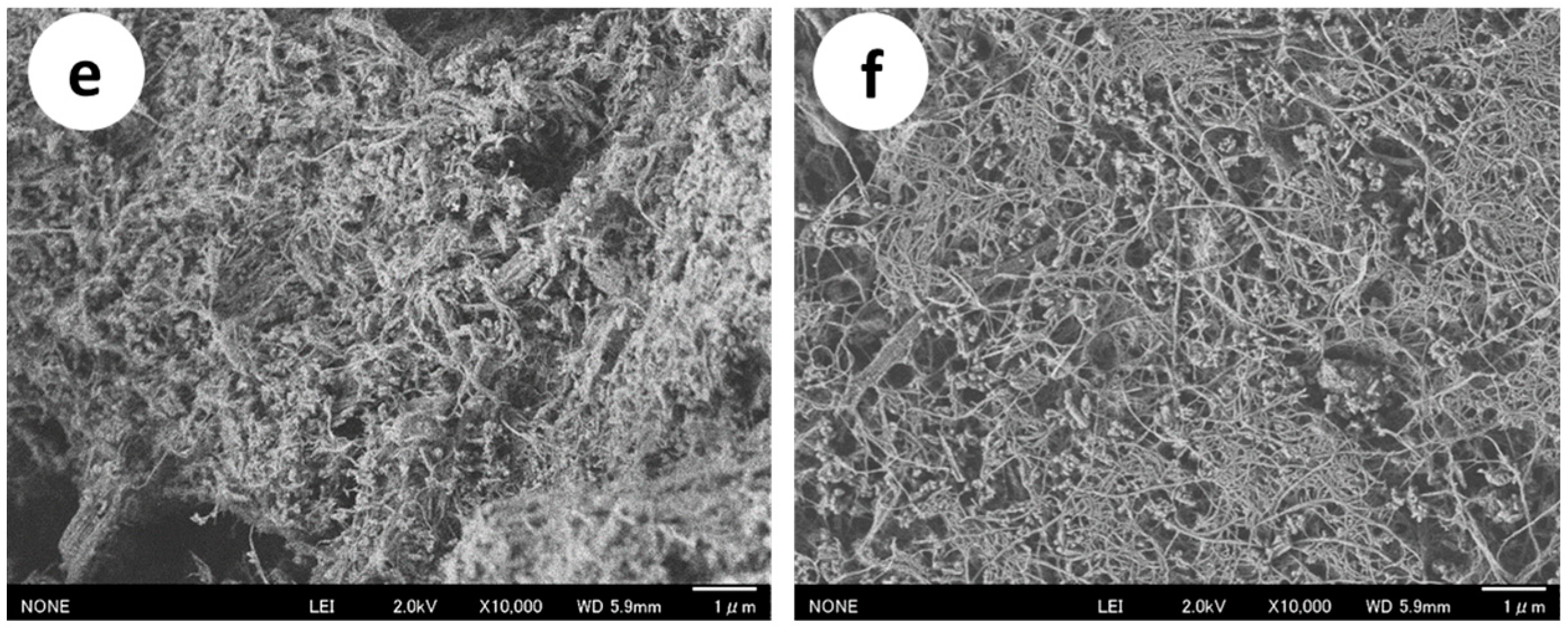 Ijms 17 01600 g001b 550