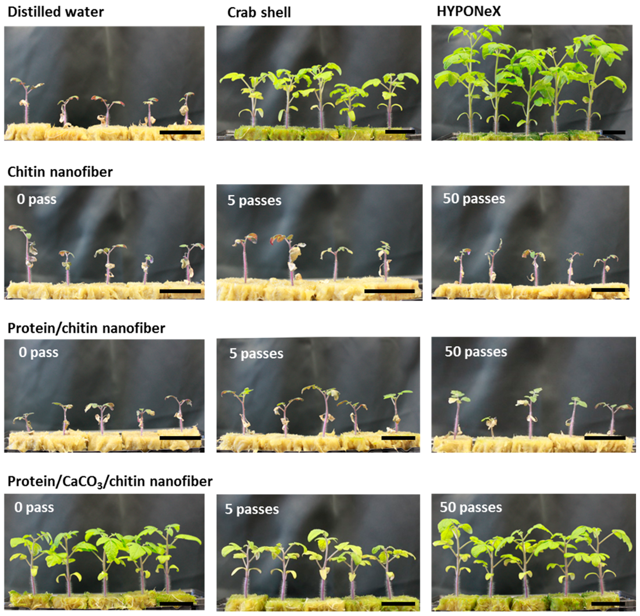 Ijms 17 01600 g005 550