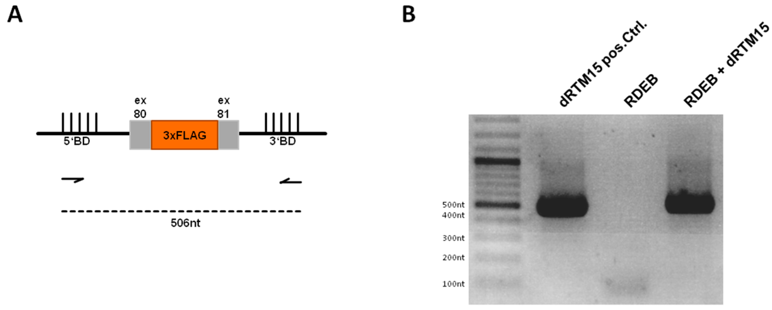 Ijms 17 01609 g006