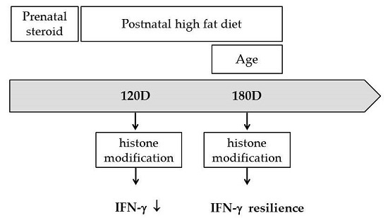 Bubble Busteradcock Games By: Austin Adcock