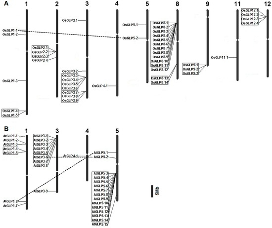 To A Highly Efficient Cross‐Coupling Mode via the Release of