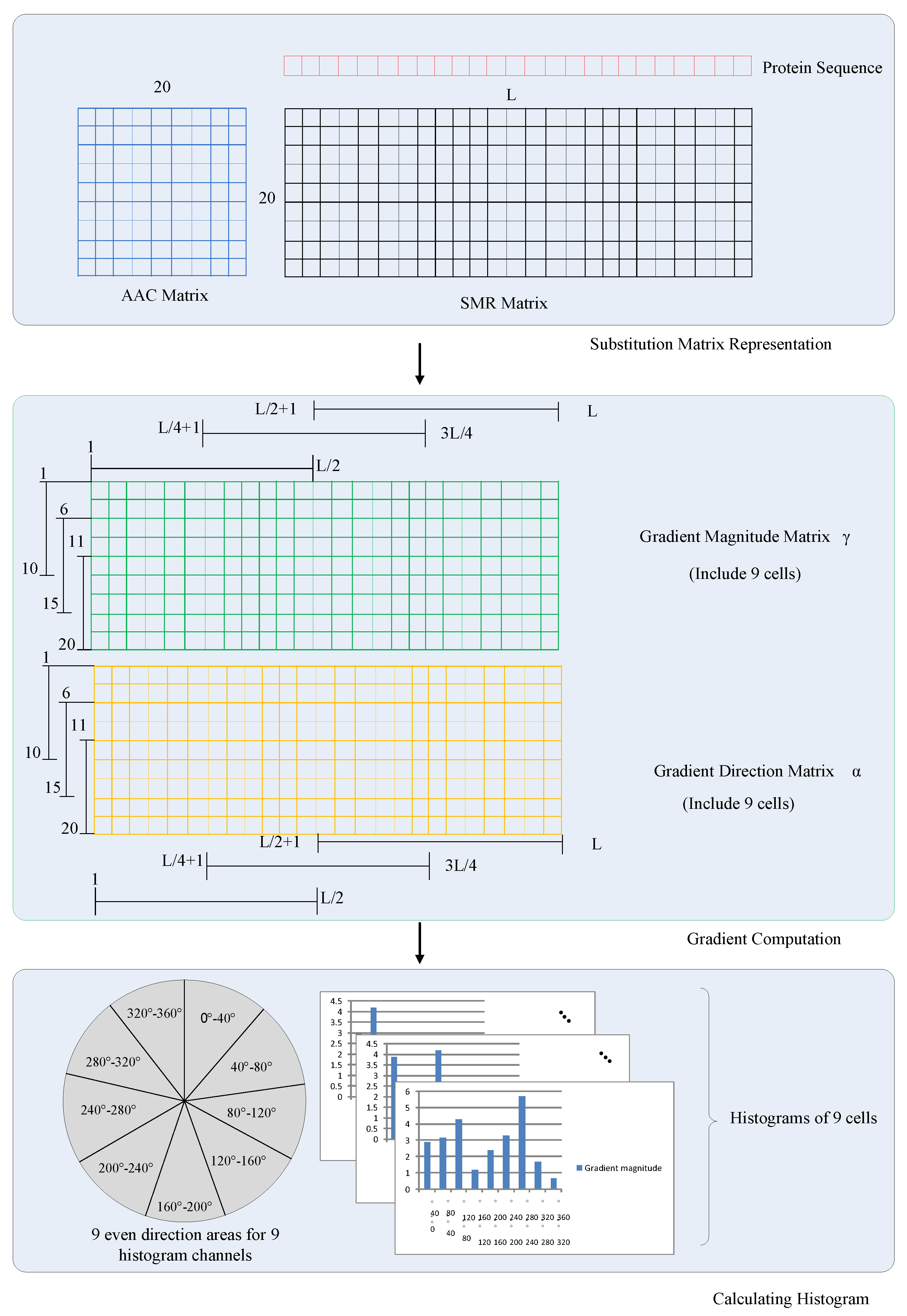 Ijms 17 01623 g002 550