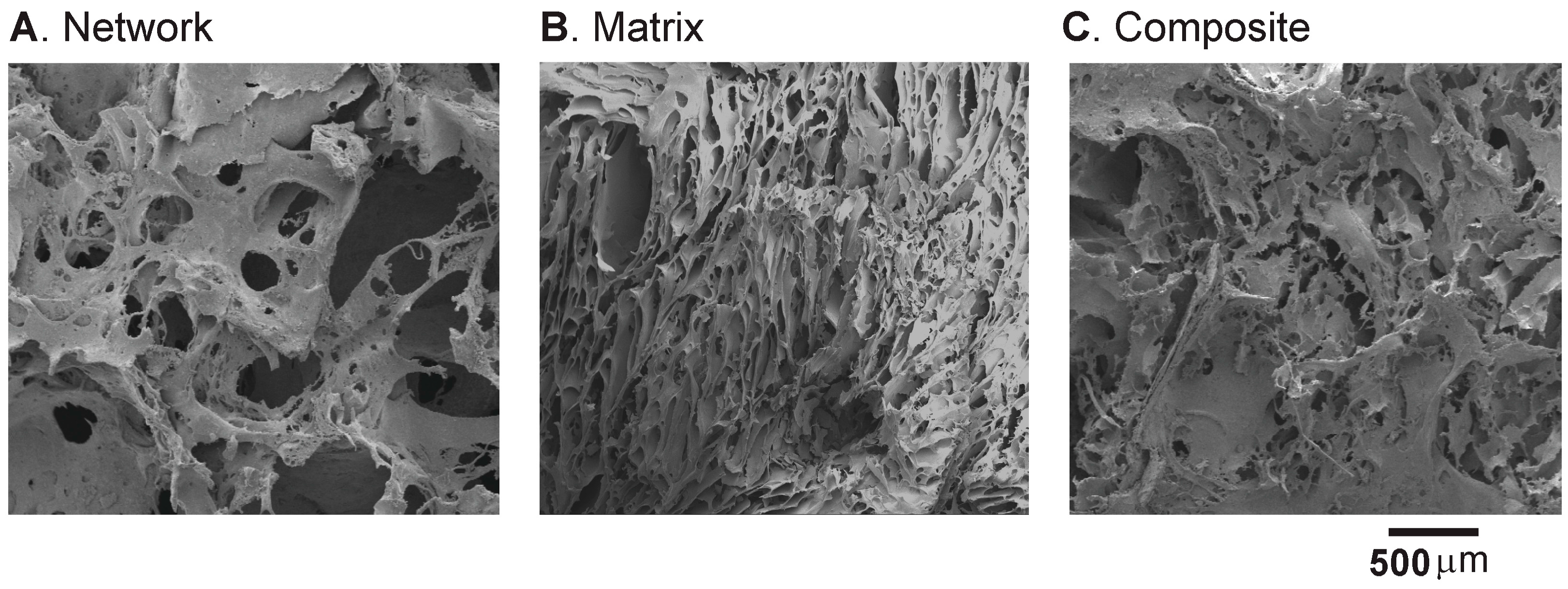 Ijms 17 01631 g006 550