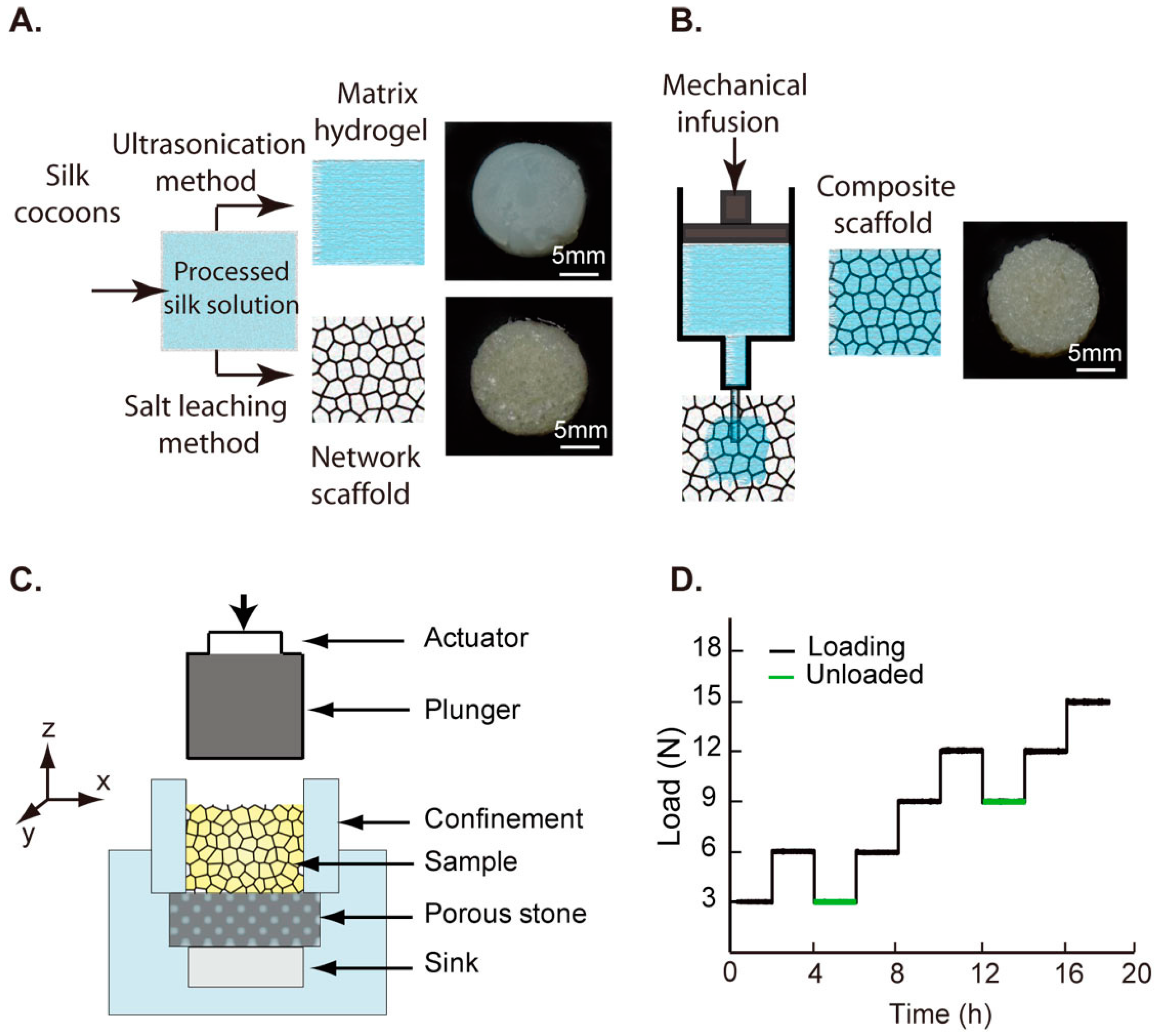 Ijms 17 01631 g008 550