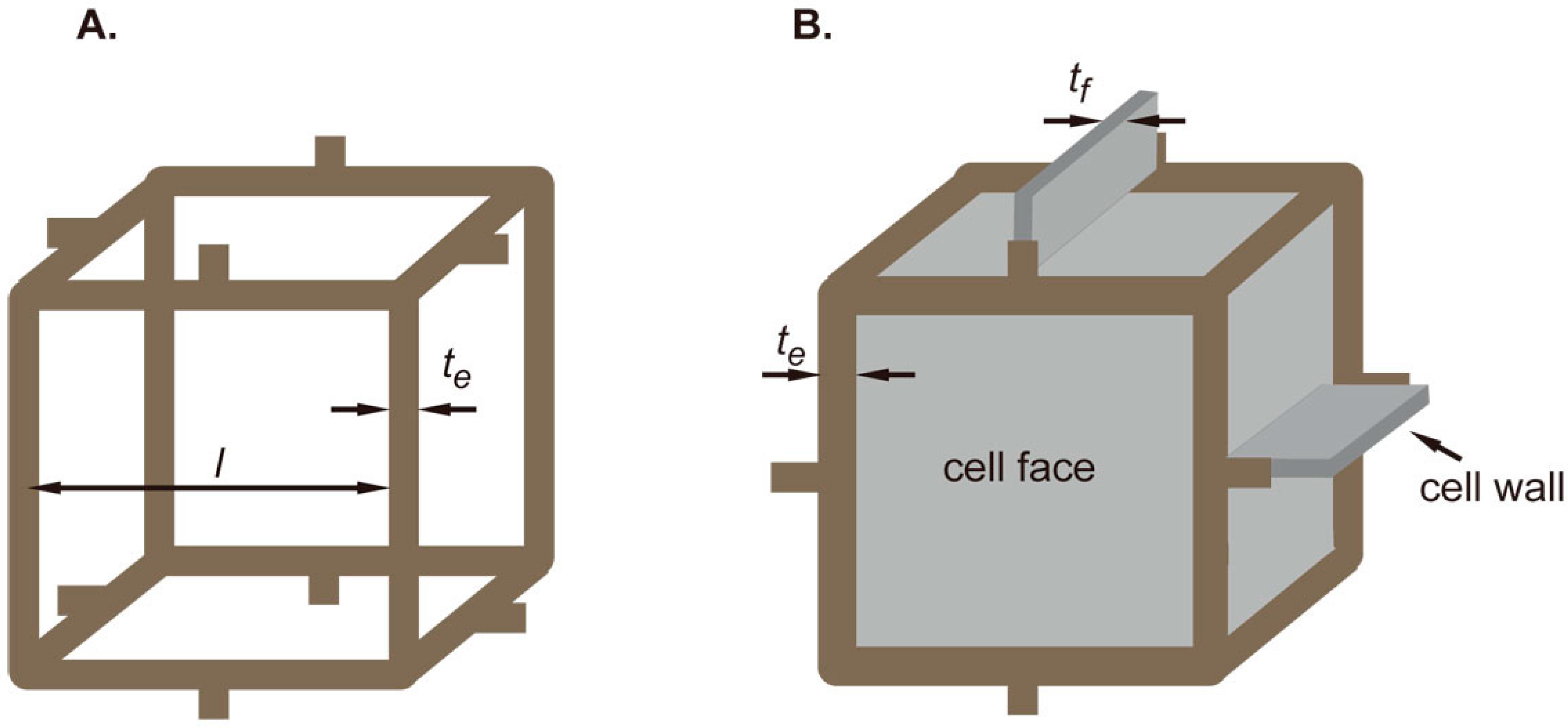Ijms 17 01631 g009 550