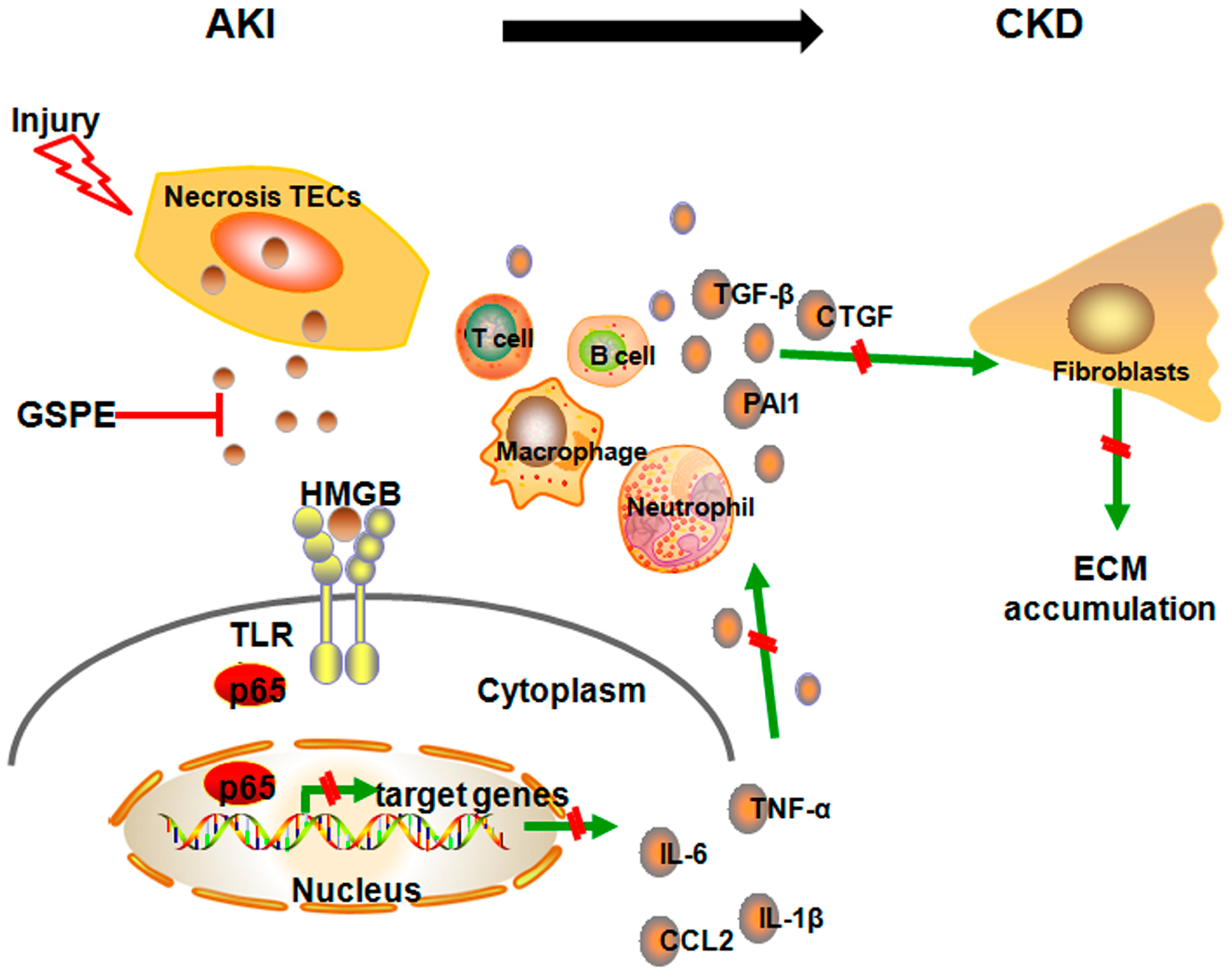 Ijms 17 01647 g008 550