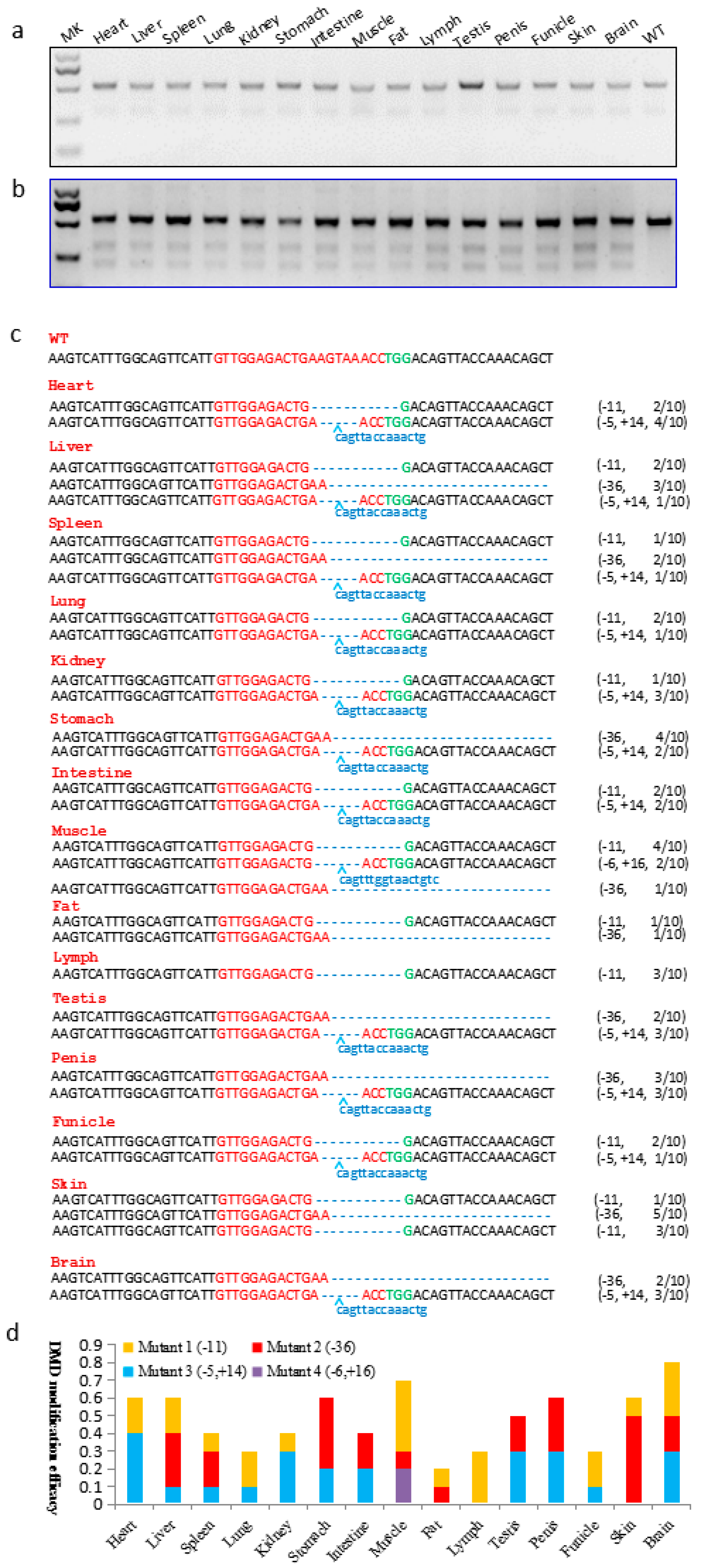 Ijms 17 01668 g003 550