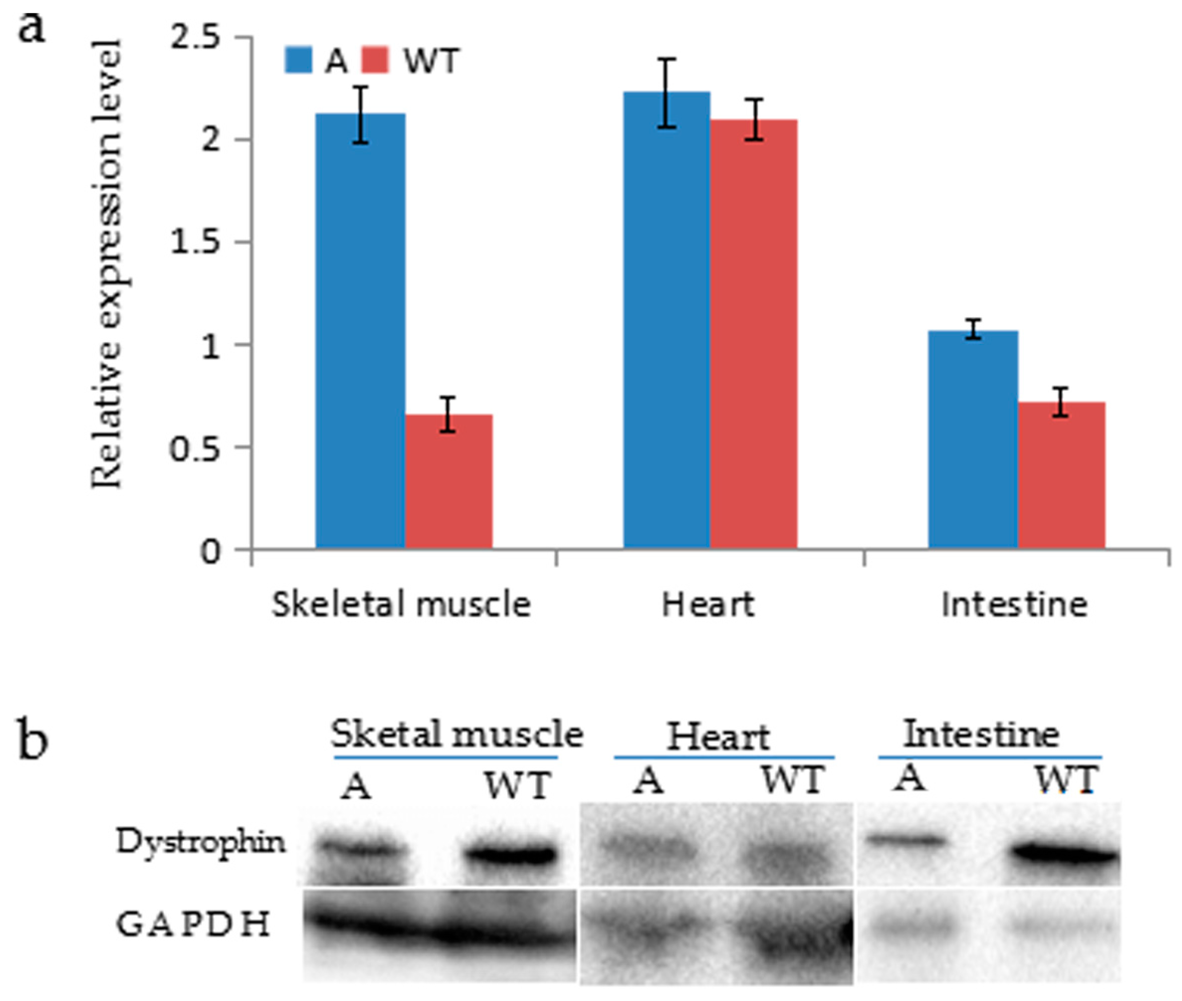 Ijms 17 01668 g004a 550