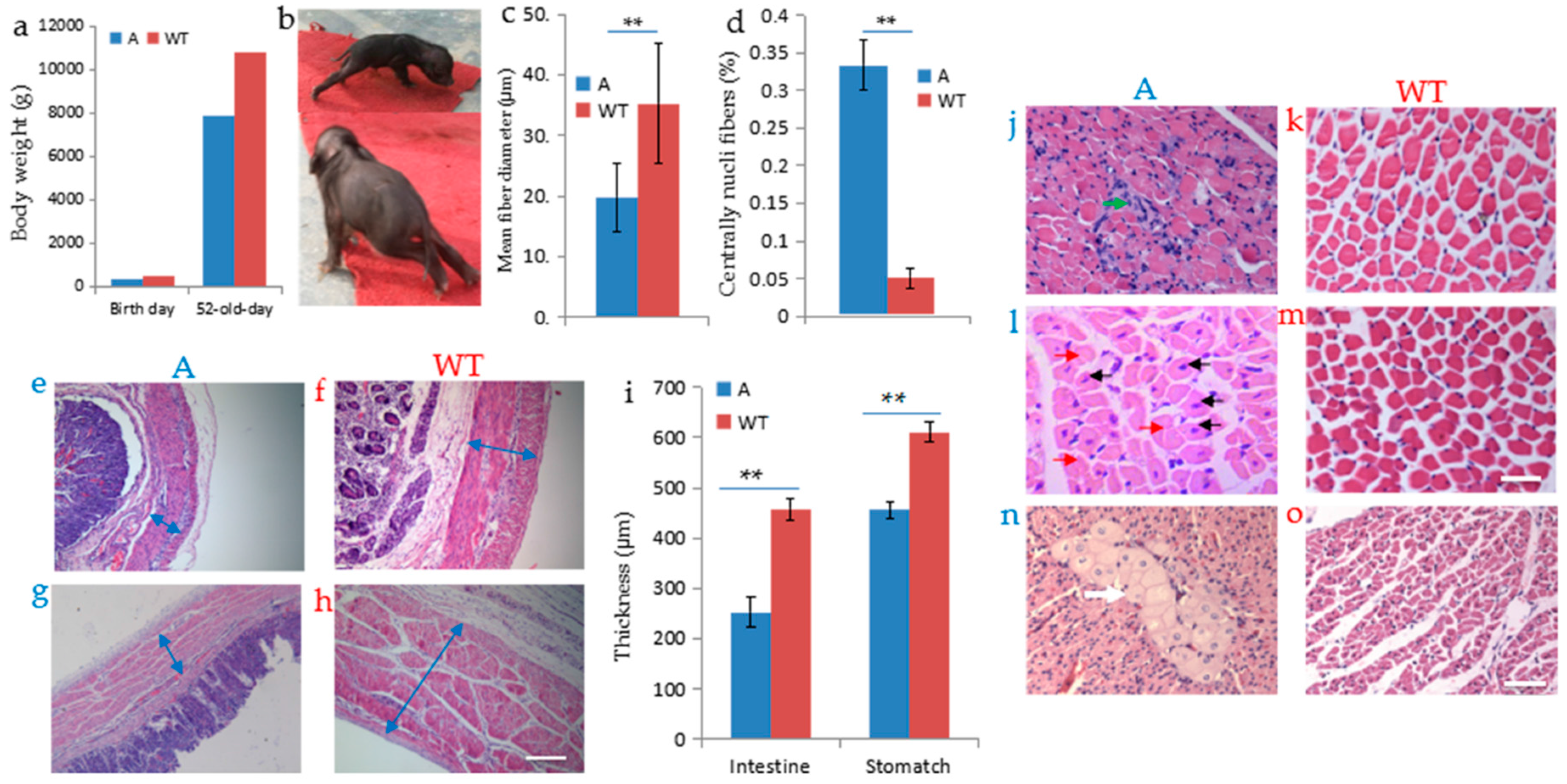 Ijms 17 01668 g005 550