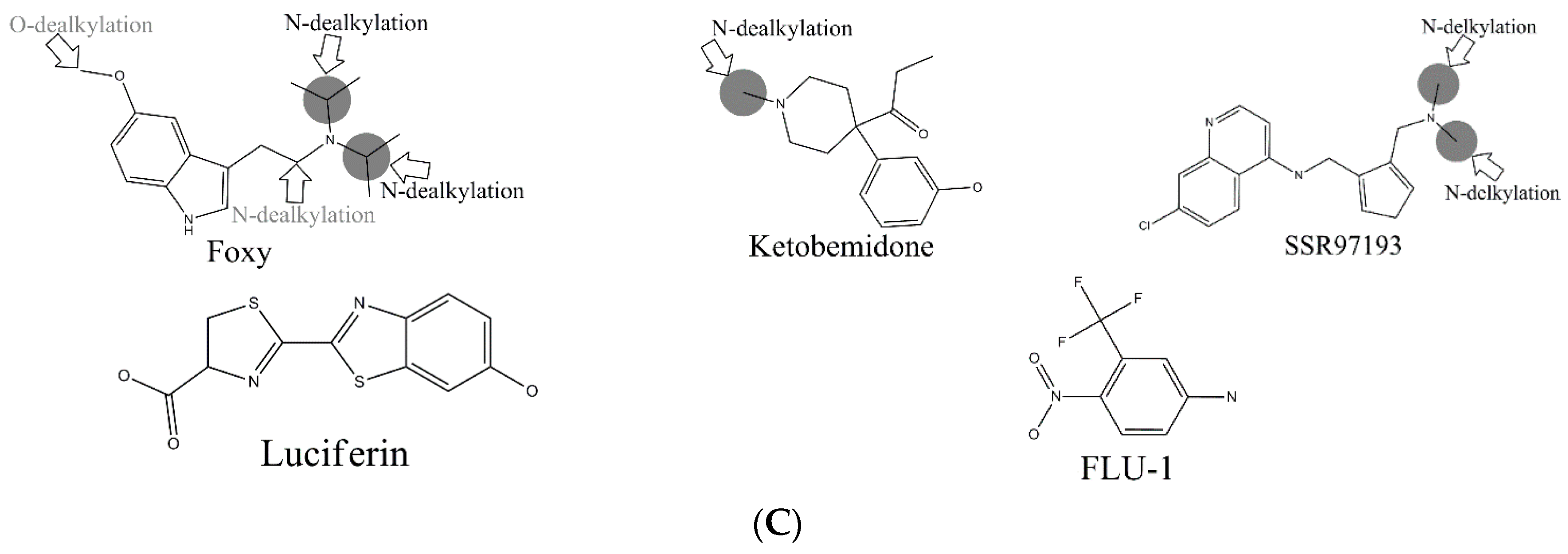 Ijms 17 01686 g003b 550