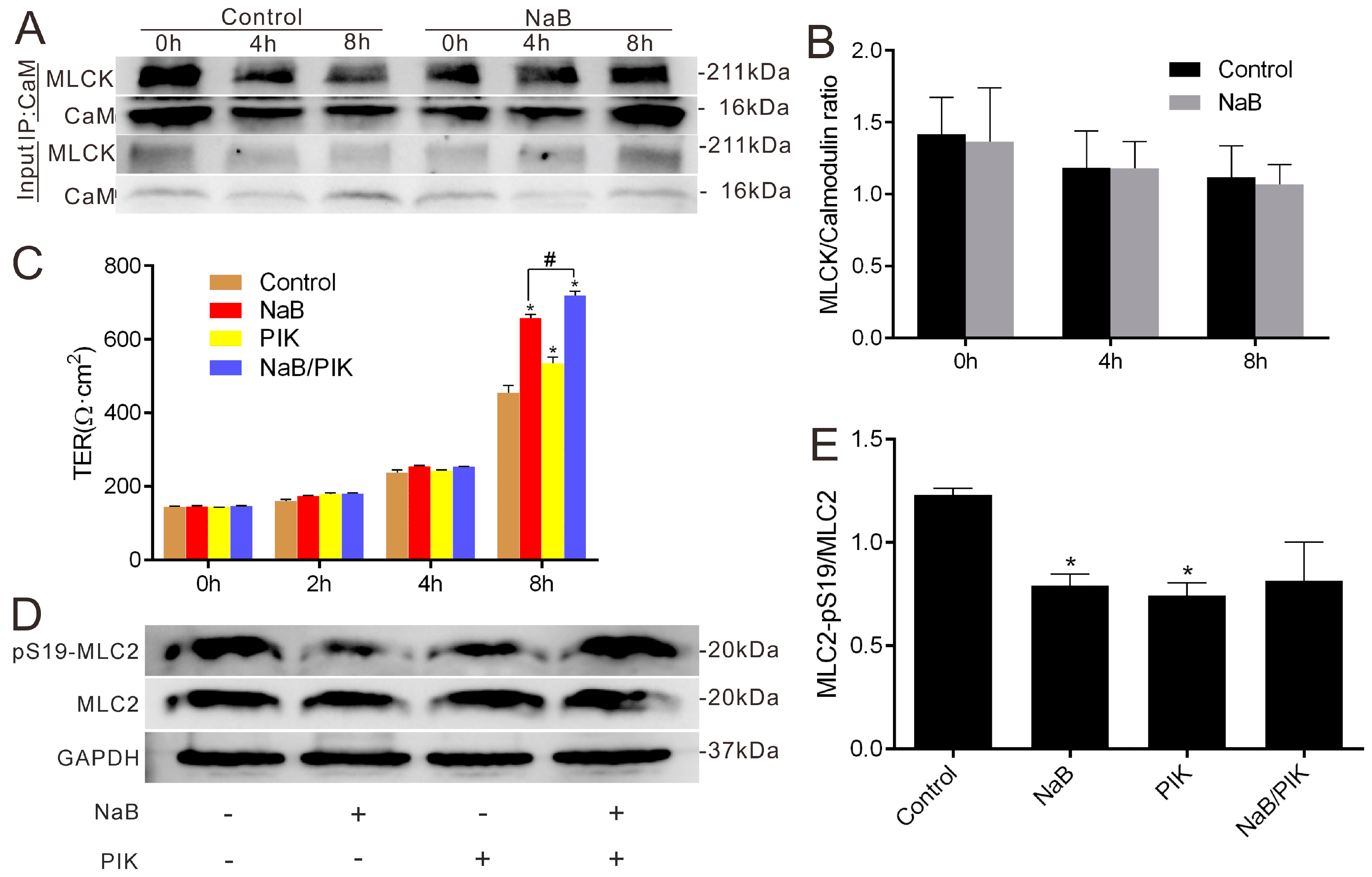Ijms 17 01696 g002