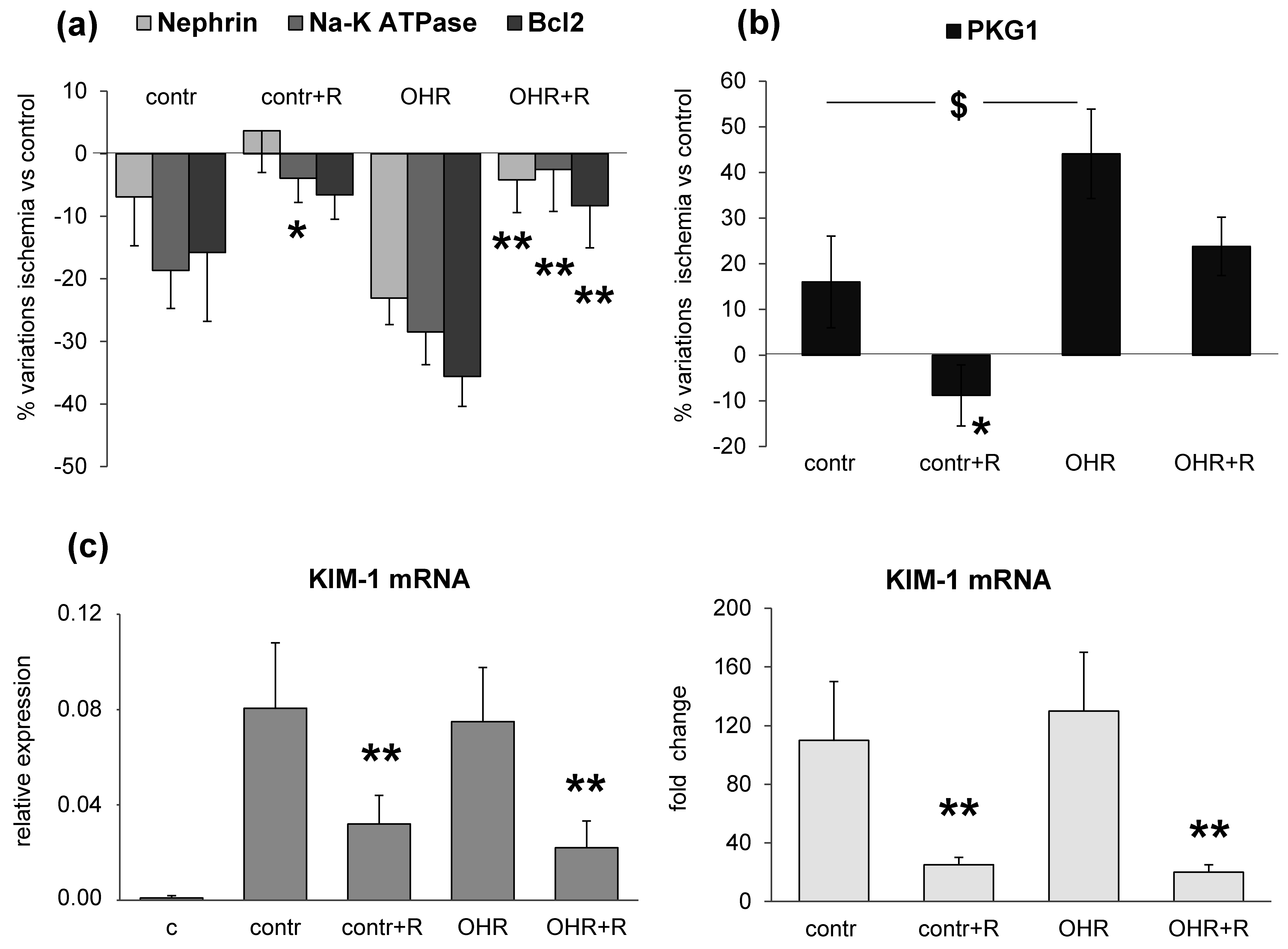Ijms 17 01728 g003 550