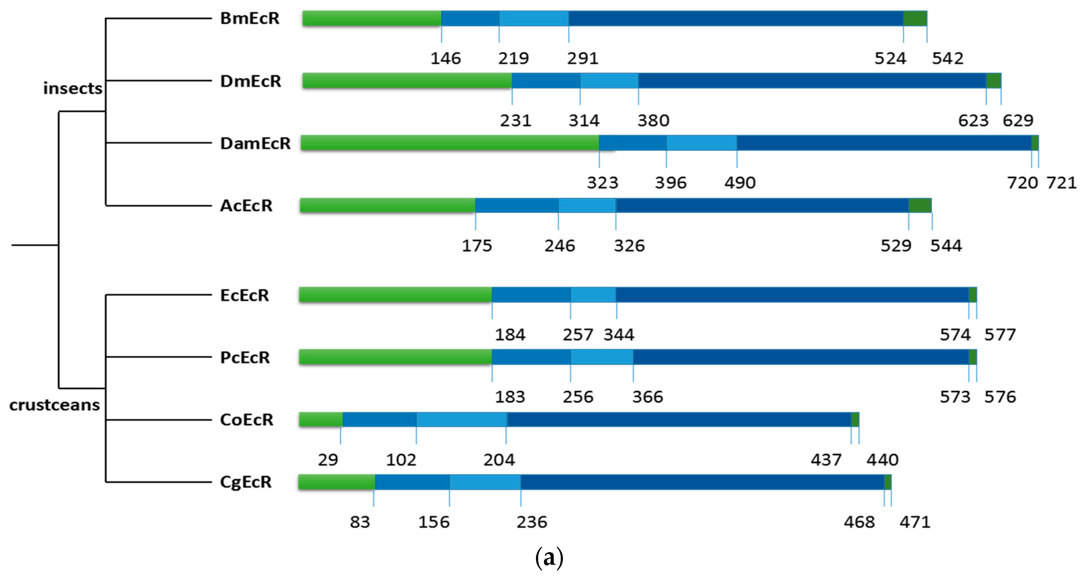 Ijms 17 01739 g002a 550
