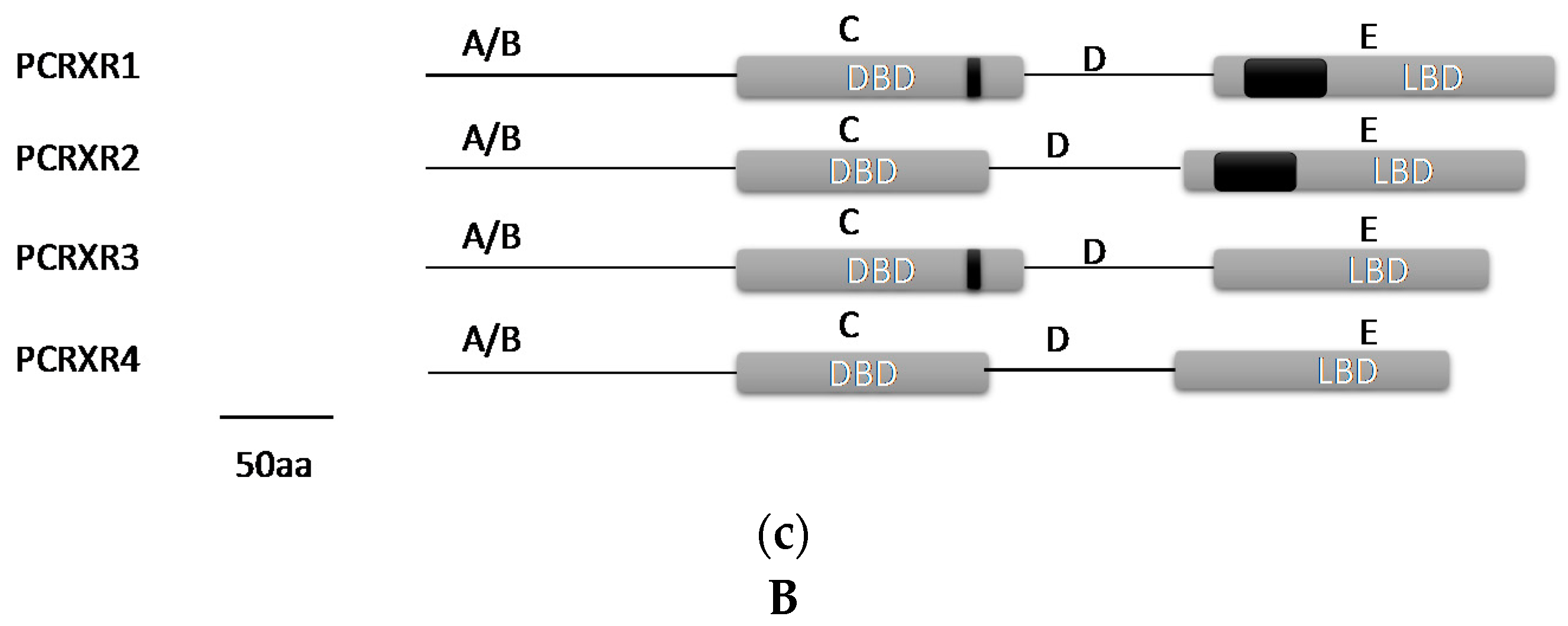 Ijms 17 01739 g002d 550