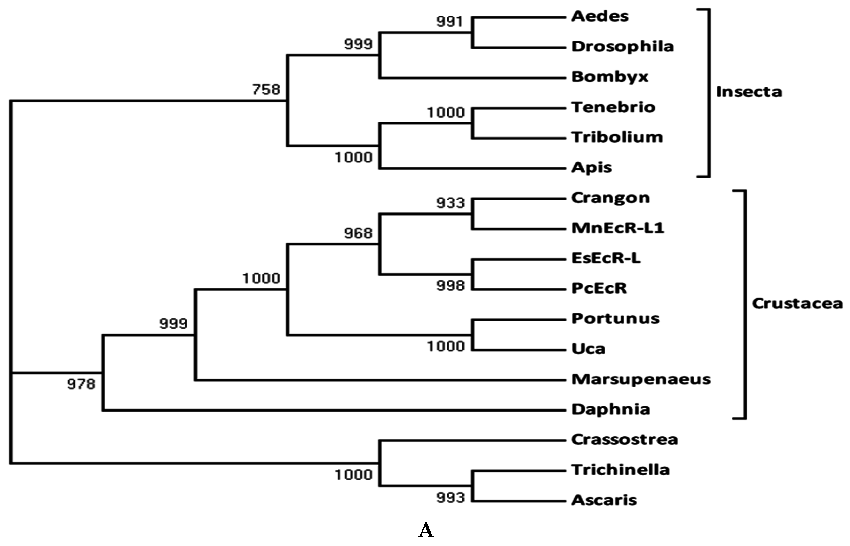 Ijms 17 01739 g003a 550