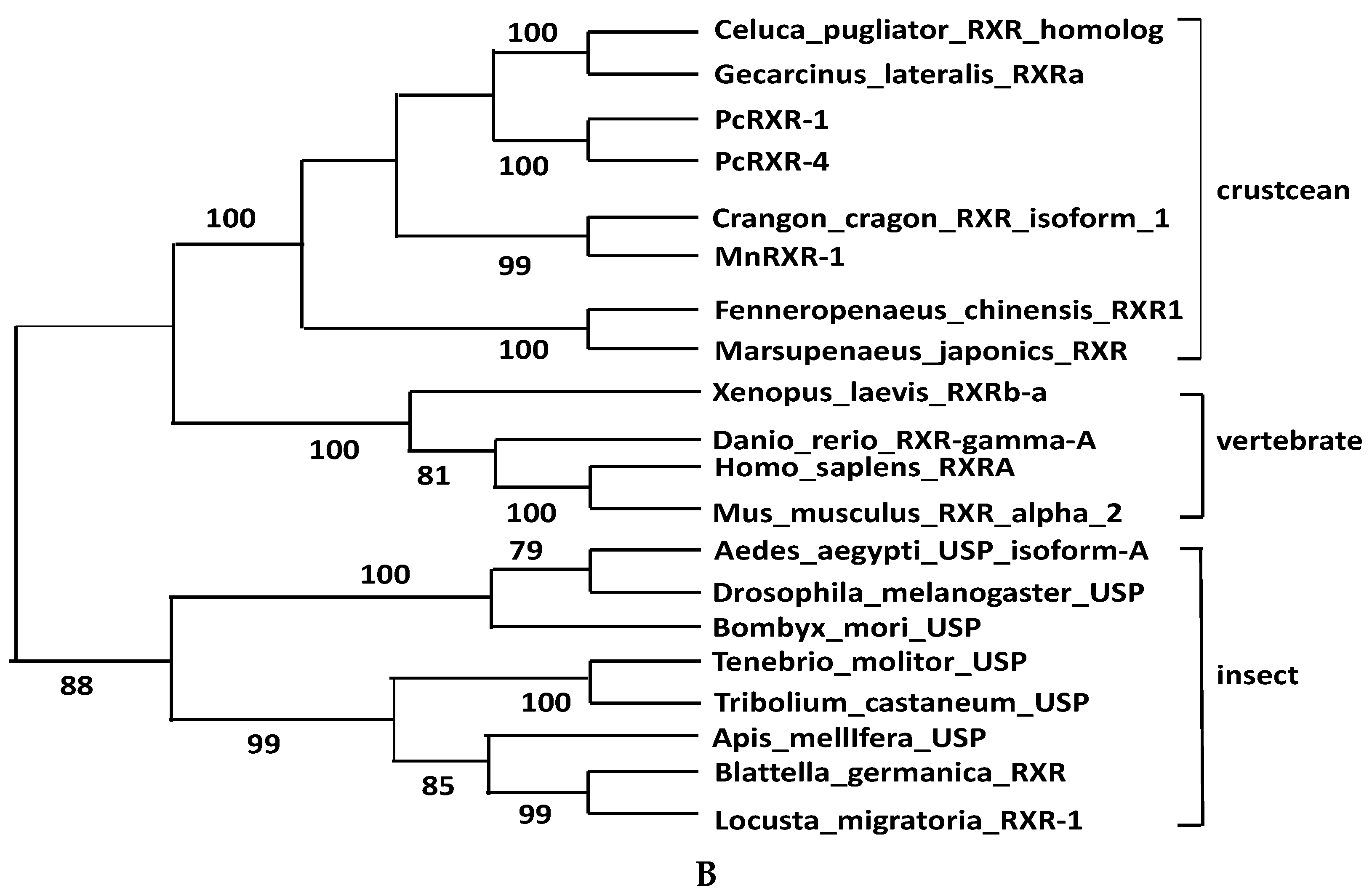 Ijms 17 01739 g003b 550