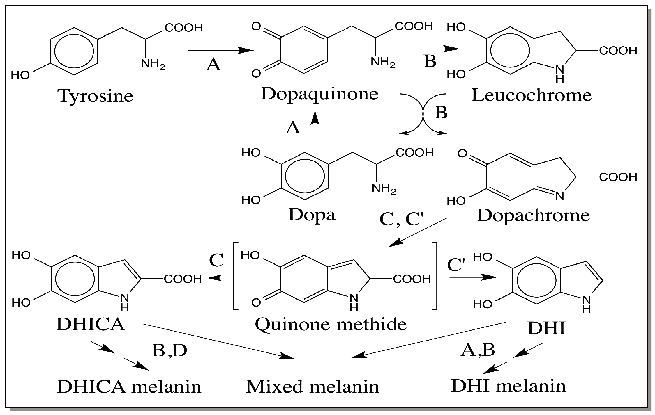 Ijms 17 01753 g006 550