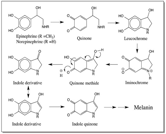 Ijms Special Issue Biochemistry And Mechanisms Of - 