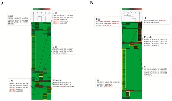 Stage-Wise Identification and Analysis of miRNA from Root