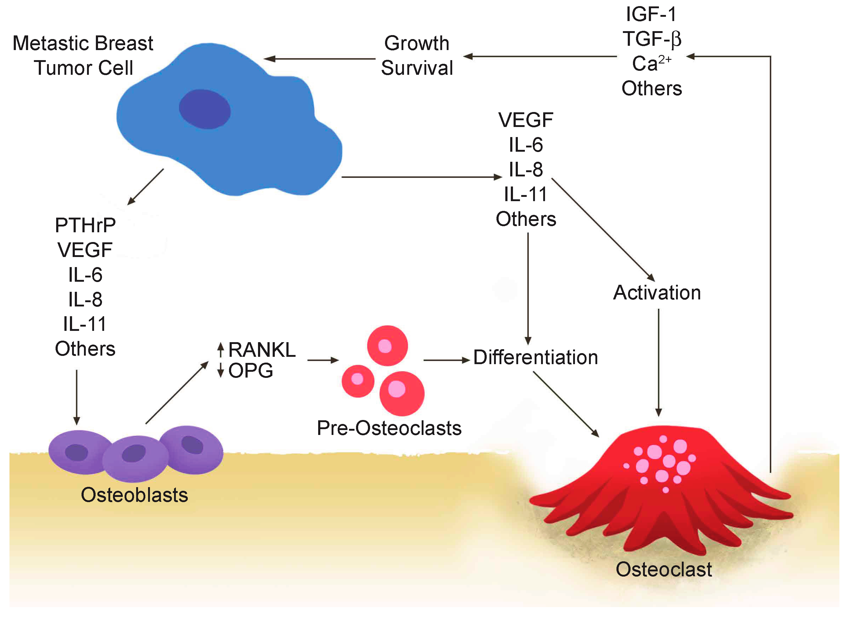 Ijms 17 01764 g001 550
